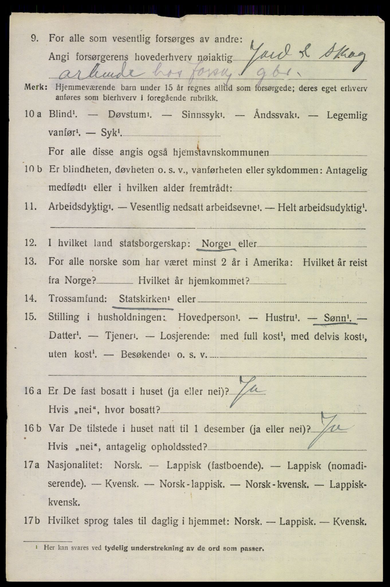 SAT, 1920 census for Saltdal, 1920, p. 7802