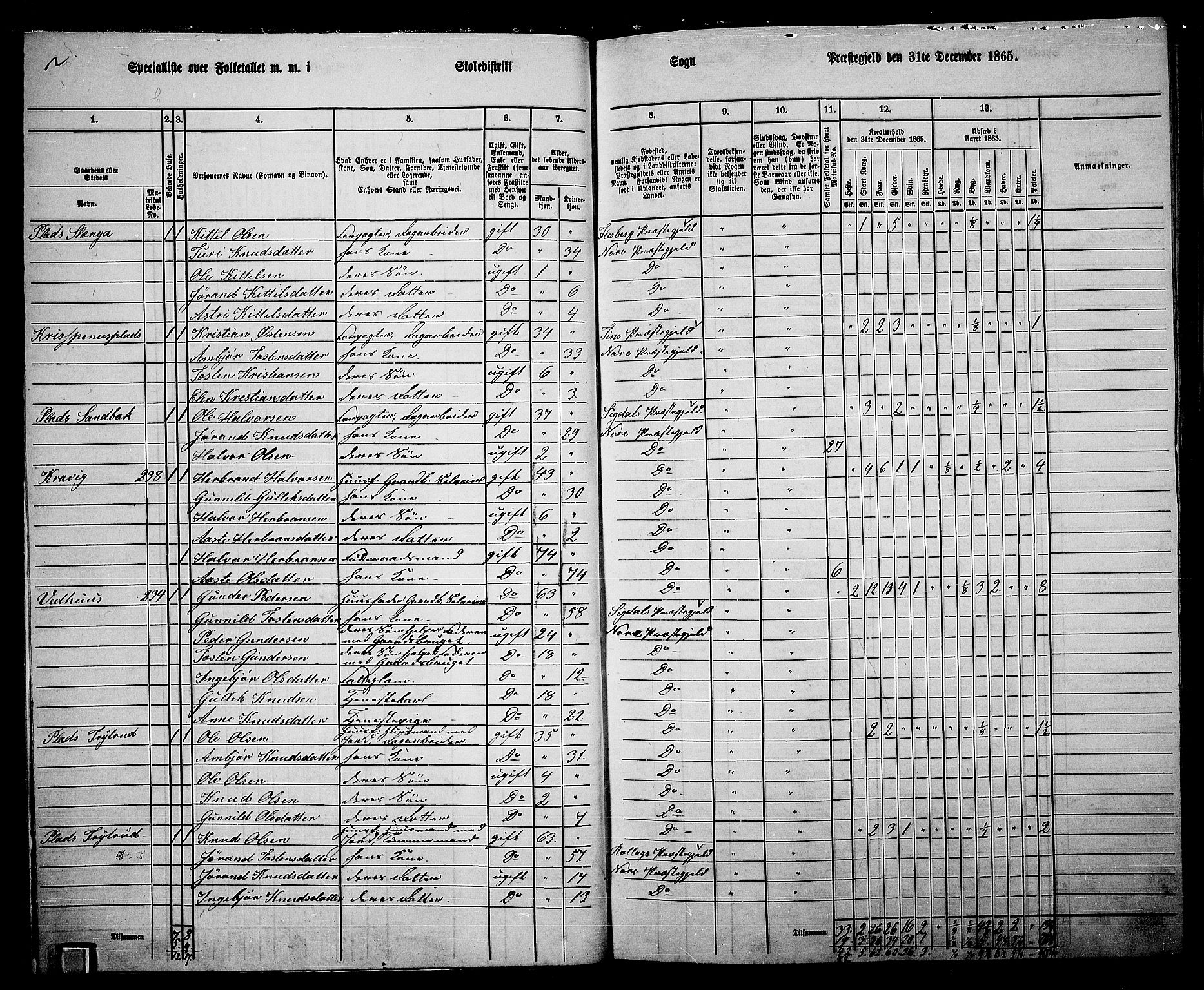 RA, 1865 census for Nore, 1865, p. 14