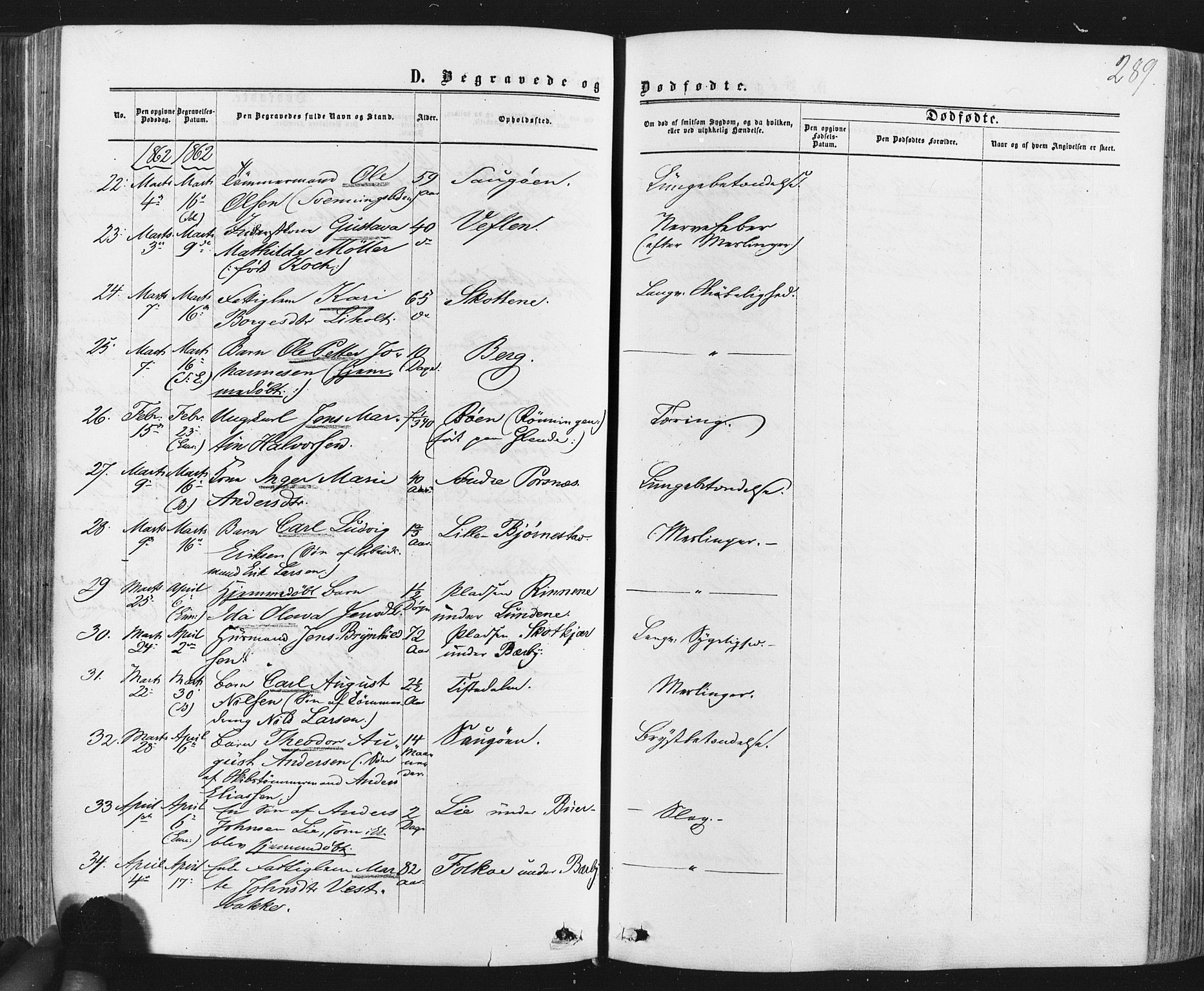 Idd prestekontor Kirkebøker, SAO/A-10911/F/Fc/L0005: Parish register (official) no. III 5, 1861-1877, p. 289