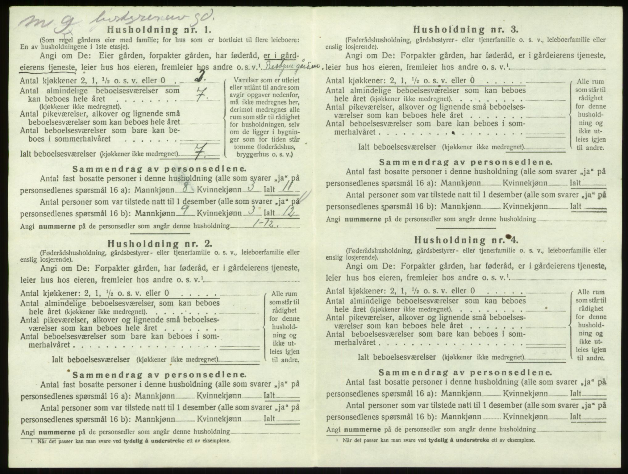 SAO, 1920 census for Skjeberg, 1920, p. 1419