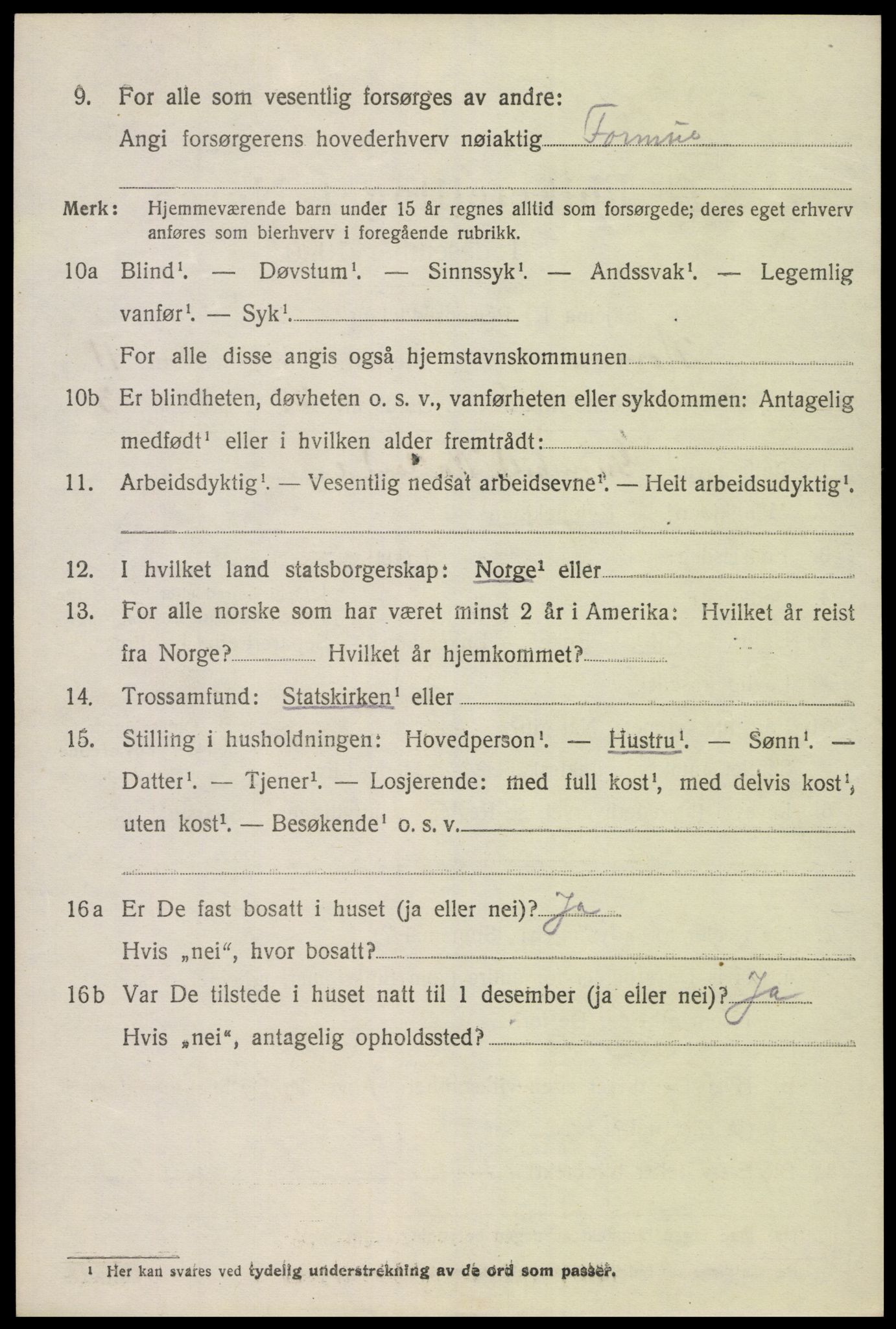 SAK, 1920 census for Hornnes, 1920, p. 2660