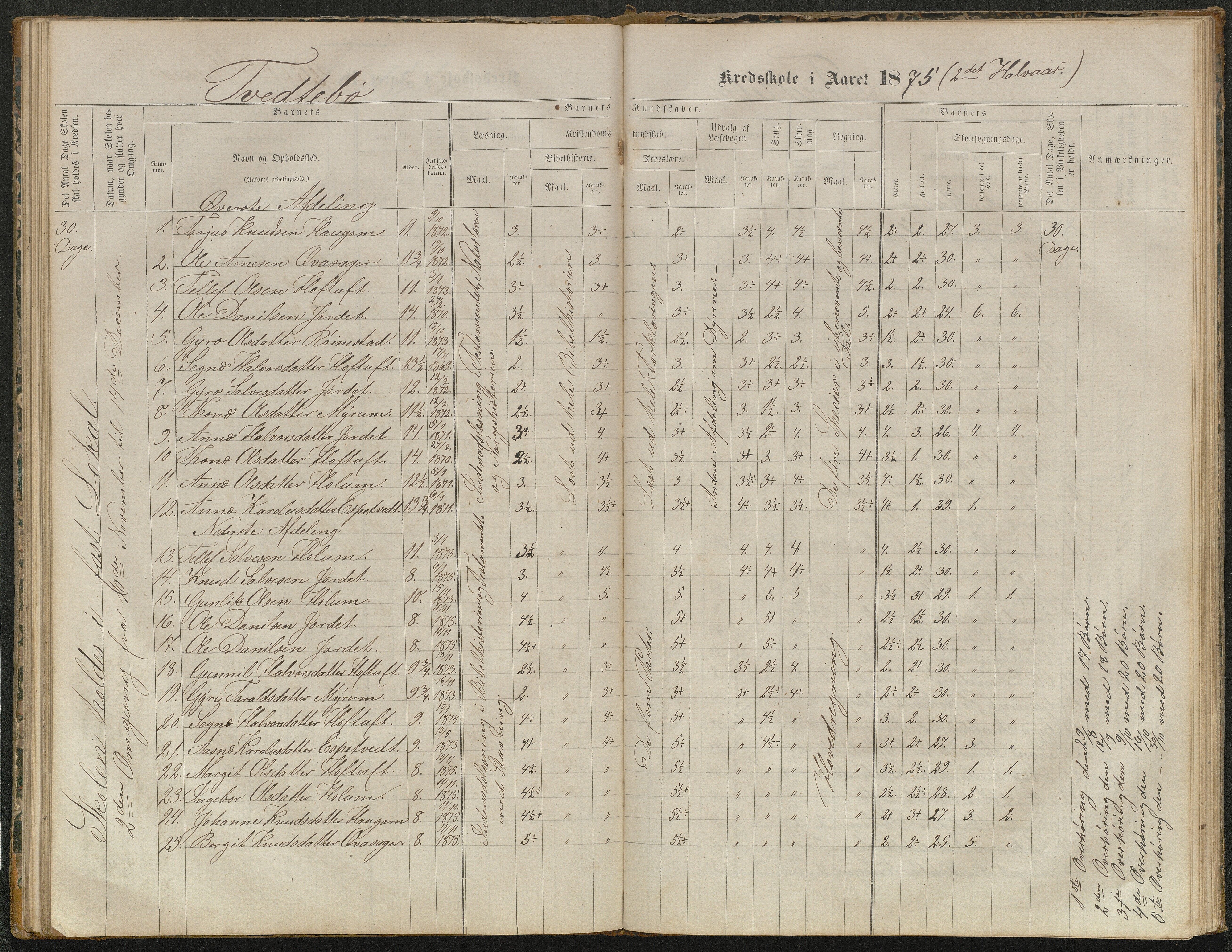 Valle kommune, AAKS/KA0940-PK/03/L0052: Karakterprotokoll for Homme skule. Karakterprotokoll for Oveinang skule. Karakterprotokoll for Tveitebø skule. Karakterprotokoll for den frivillige undervisning i Homme, 1863-1882