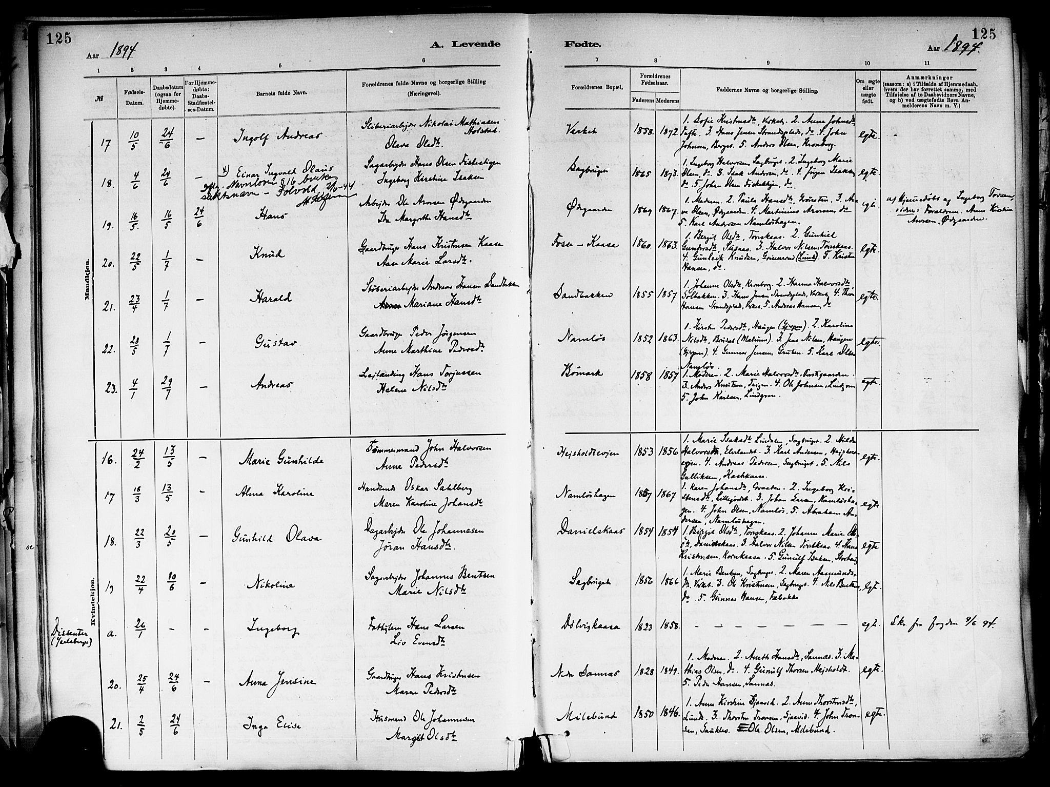 Holla kirkebøker, SAKO/A-272/F/Fa/L0008: Parish register (official) no. 8, 1882-1897, p. 125