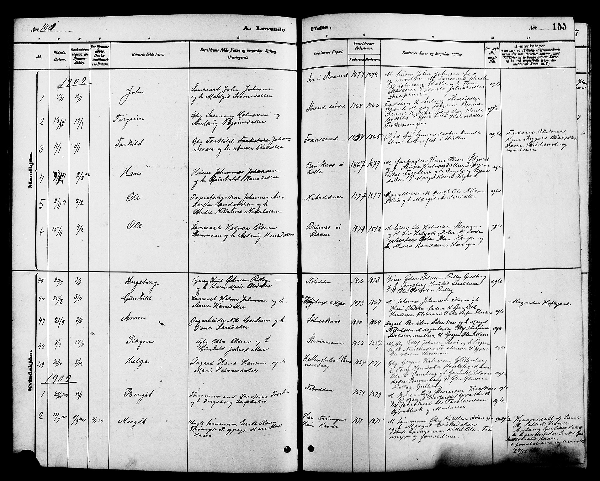 Heddal kirkebøker, SAKO/A-268/G/Ga/L0002: Parish register (copy) no. I 2, 1879-1908, p. 155