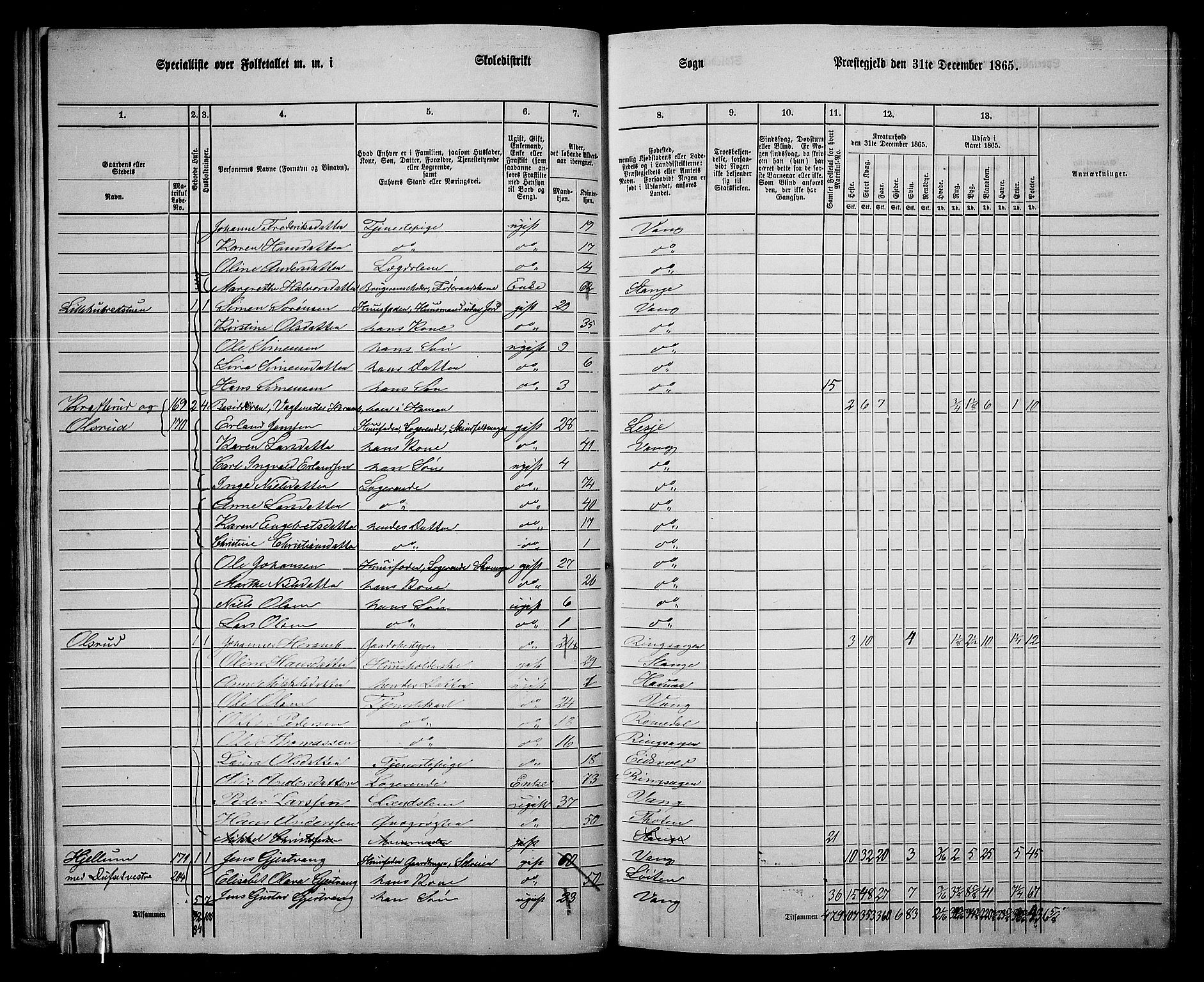 RA, 1865 census for Vang/Vang og Furnes, 1865, p. 193