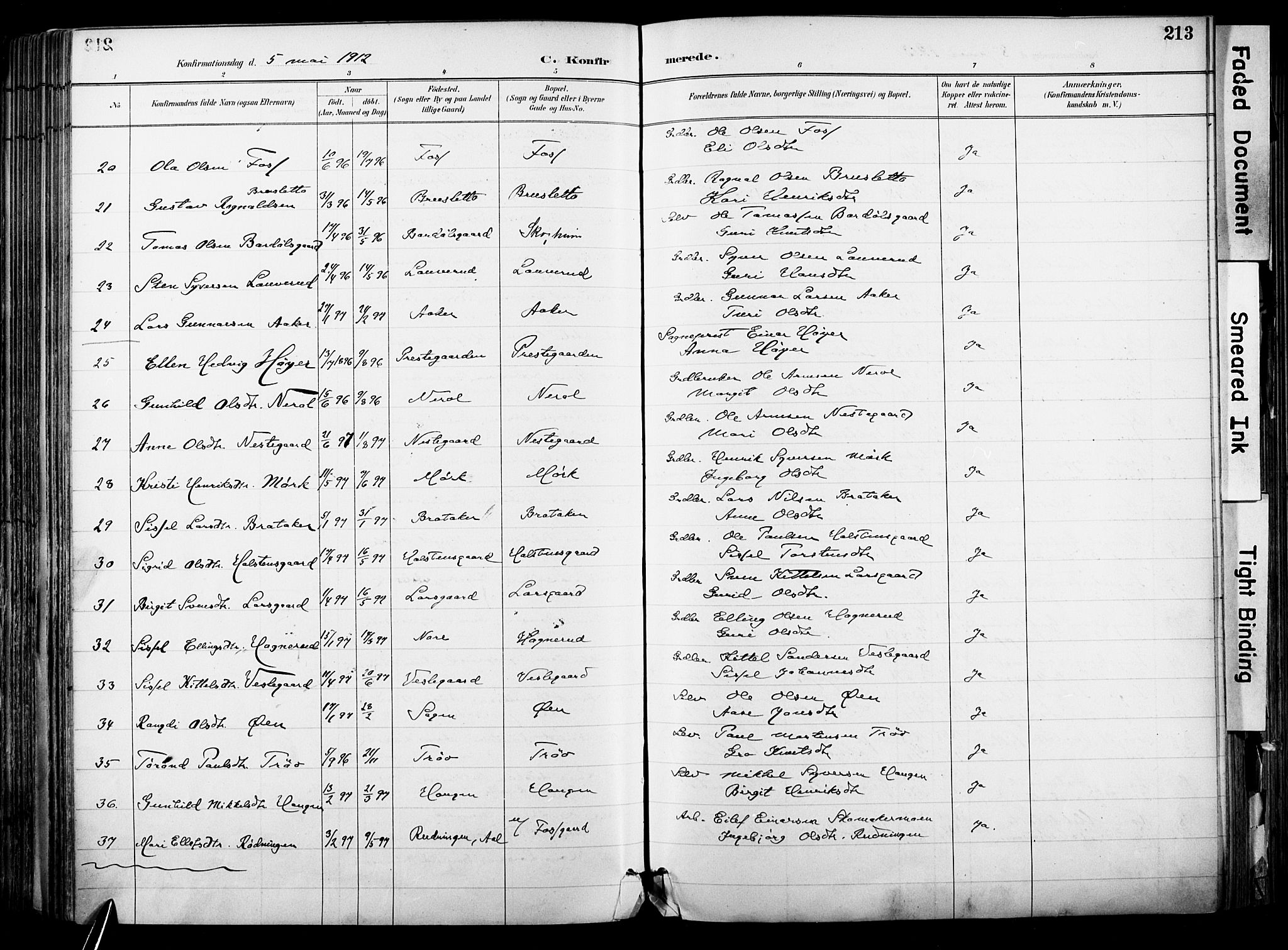 Hol kirkebøker, SAKO/A-227/F/Fa/L0003: Parish register (official) no. I 3, 1887-1918, p. 213