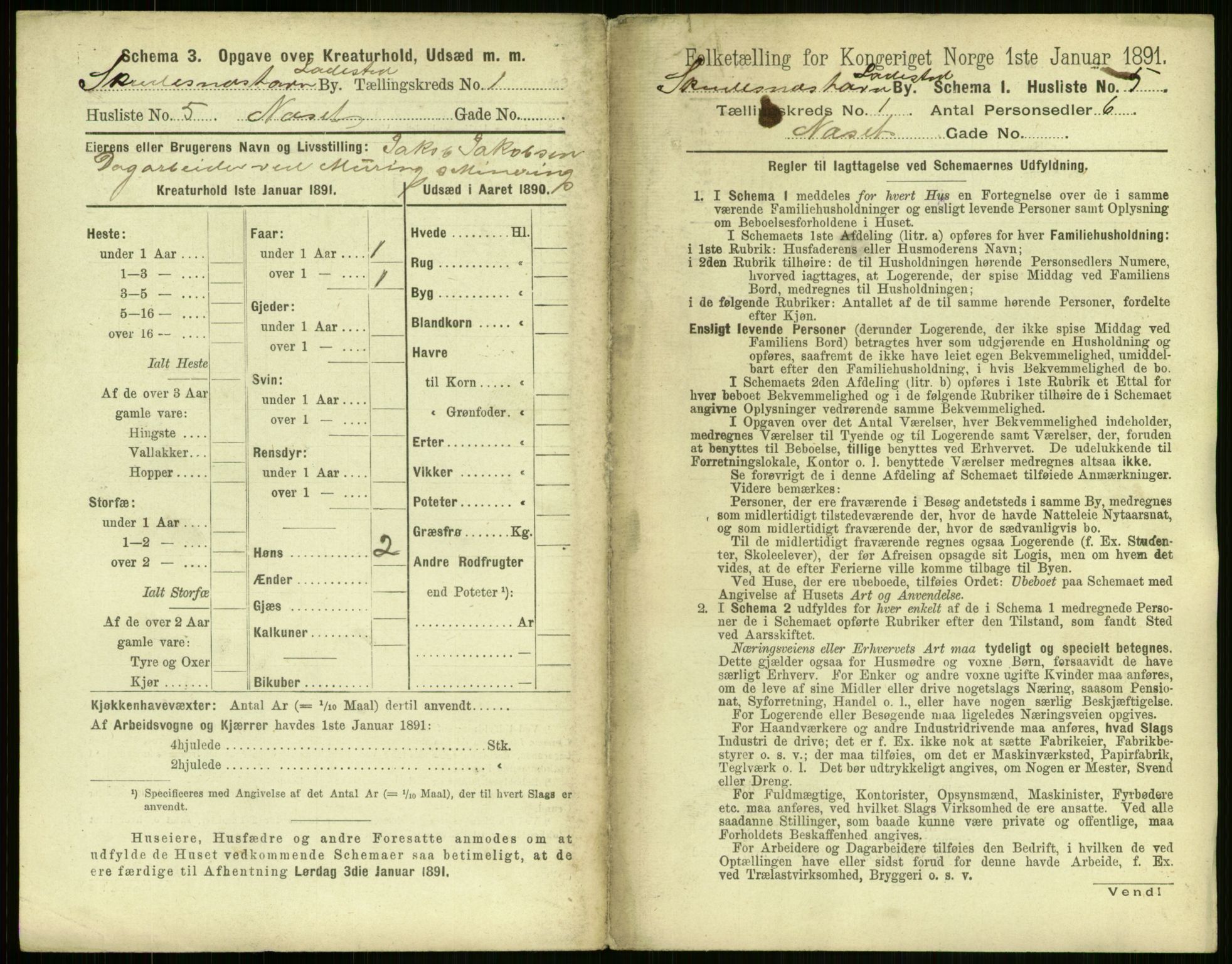 RA, 1891 census for 1104 Skudeneshavn, 1891, p. 24