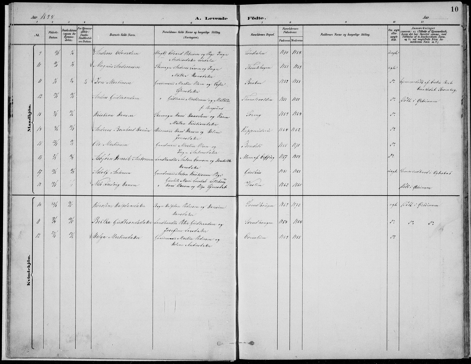Nordre Land prestekontor, SAH/PREST-124/H/Ha/Hab/L0013: Parish register (copy) no. 13, 1891-1904, p. 10