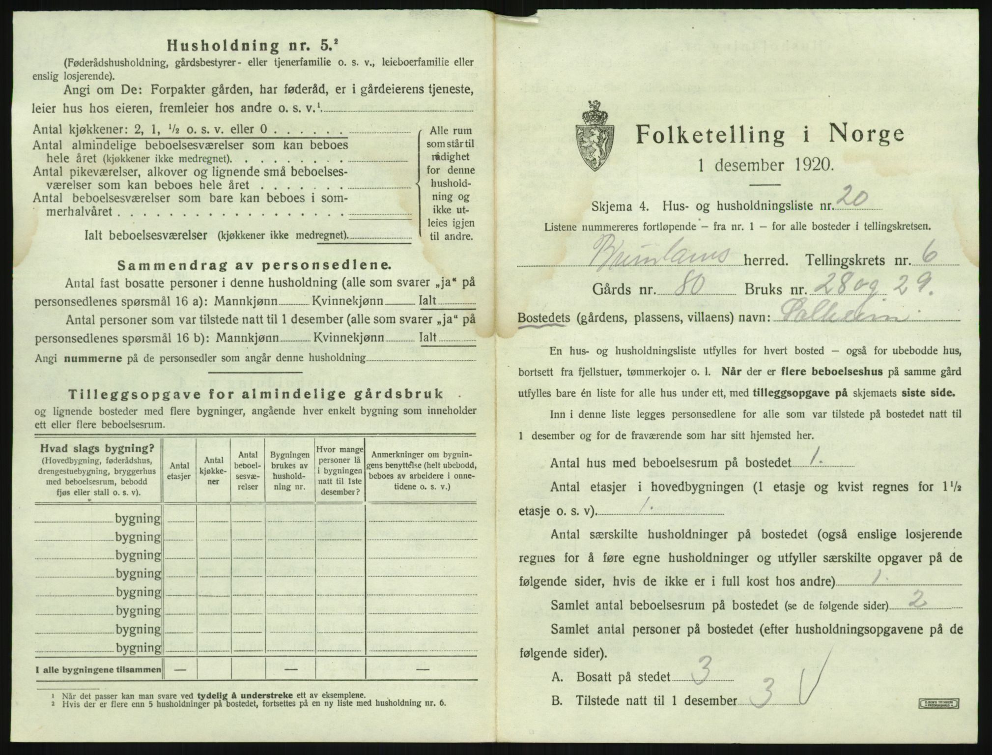 SAKO, 1920 census for Brunlanes, 1920, p. 903