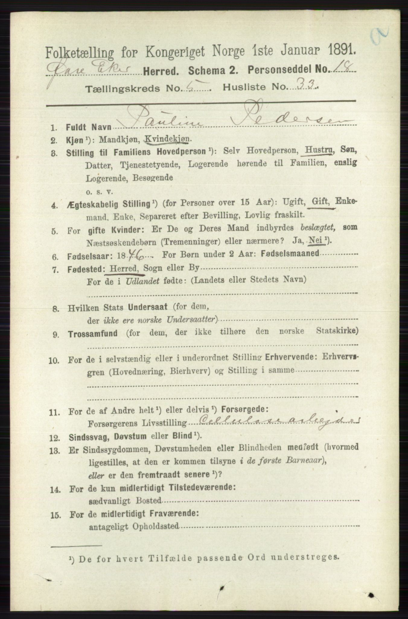 RA, 1891 census for 0624 Øvre Eiker, 1891, p. 1995