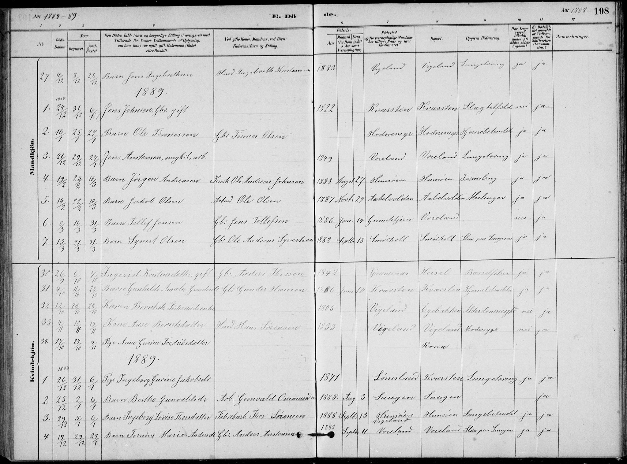 Vennesla sokneprestkontor, AV/SAK-1111-0045/Fb/Fbb/L0003: Parish register (copy) no. B 3, 1879-1893, p. 198