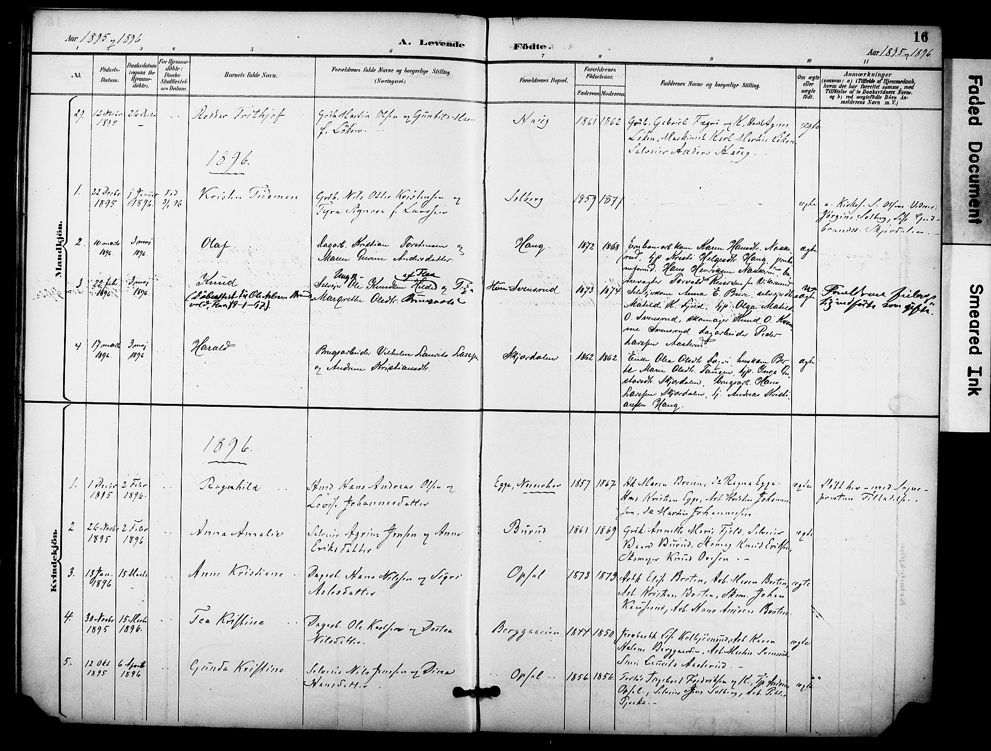 Hole kirkebøker, SAKO/A-228/F/Fb/L0002: Parish register (official) no. II 2, 1892-1906, p. 16