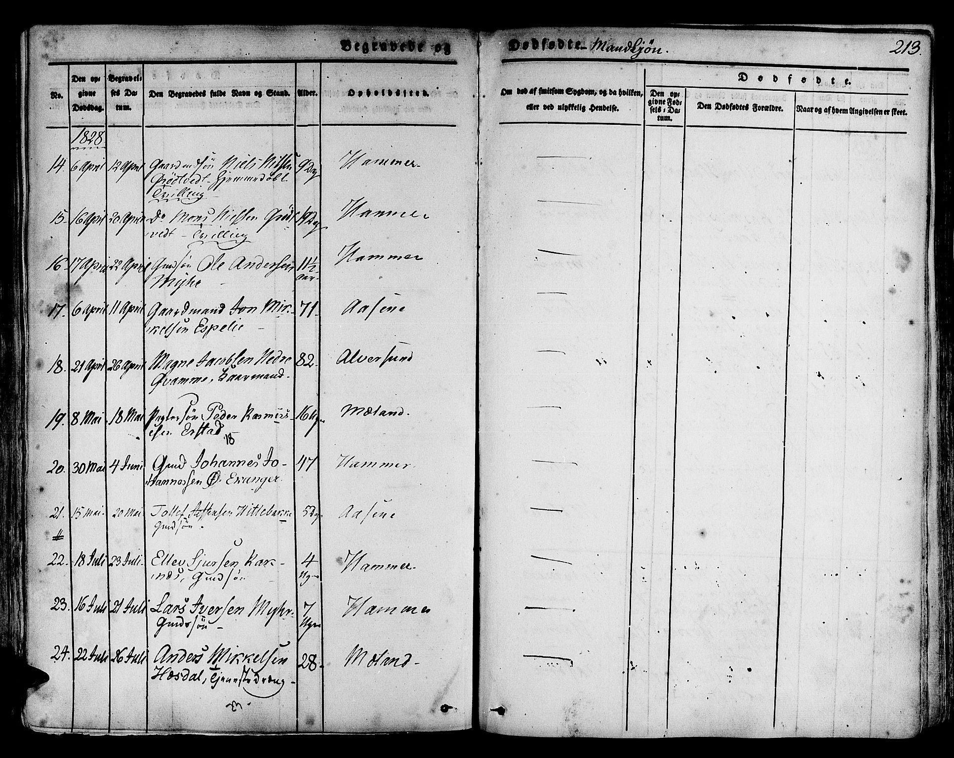 Hamre sokneprestembete, AV/SAB-A-75501/H/Ha/Haa/Haaa/L0011: Parish register (official) no. A 11, 1826-1834, p. 213