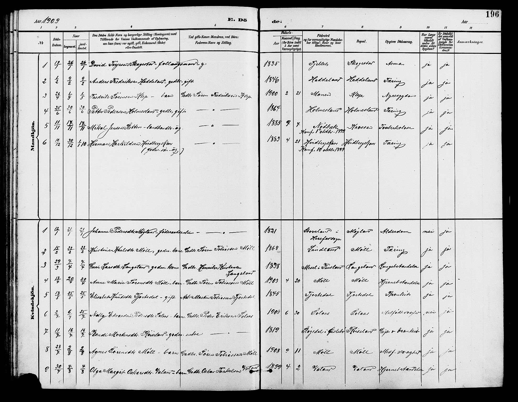 Holum sokneprestkontor, SAK/1111-0022/F/Fb/Fba/L0005: Parish register (copy) no. B 5, 1891-1909, p. 196