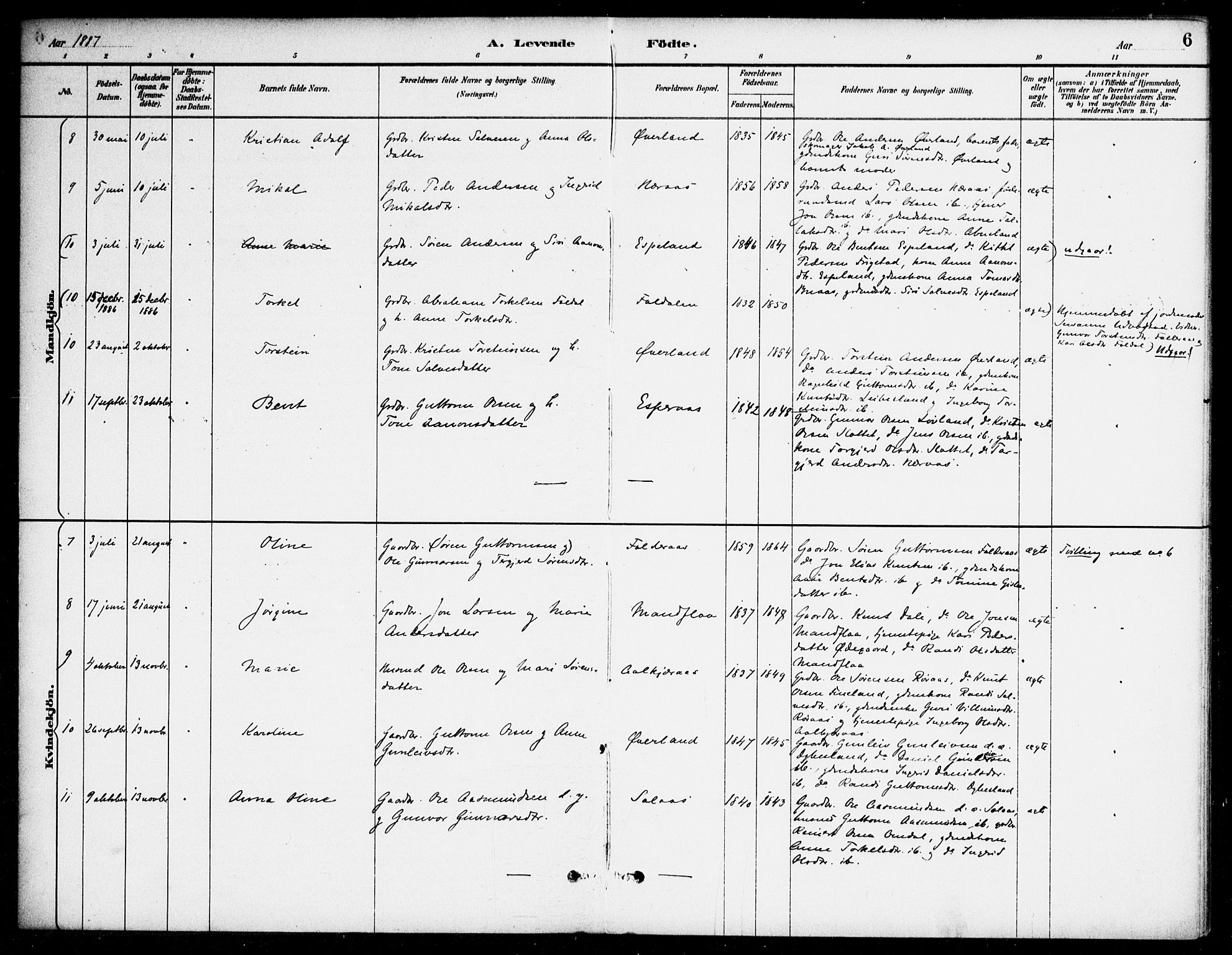 Bjelland sokneprestkontor, AV/SAK-1111-0005/F/Fa/Fab/L0004: Parish register (official) no. A 4, 1887-1920, p. 6