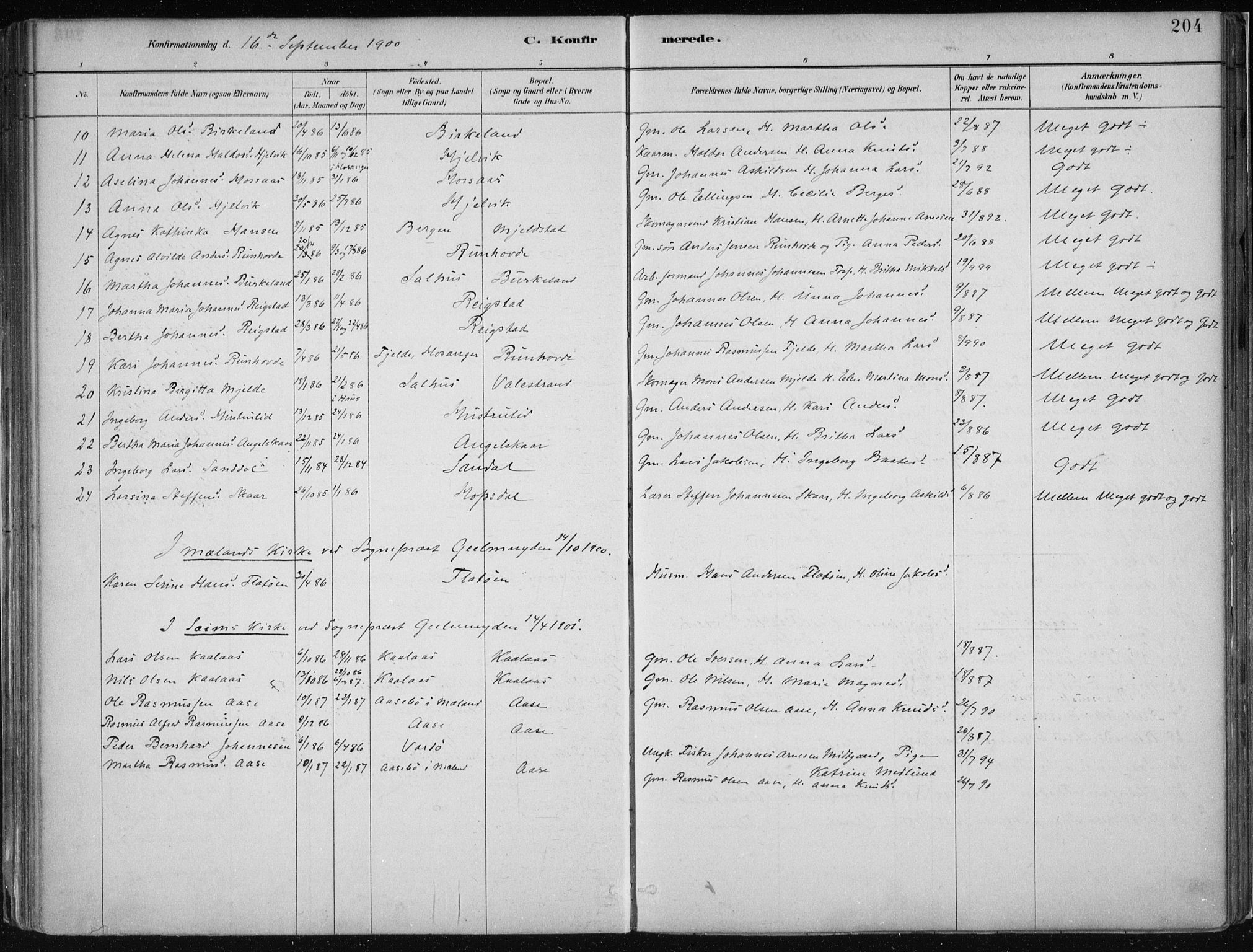 Hamre sokneprestembete, AV/SAB-A-75501/H/Ha/Haa/Haab/L0001: Parish register (official) no. B  1, 1882-1905, p. 204