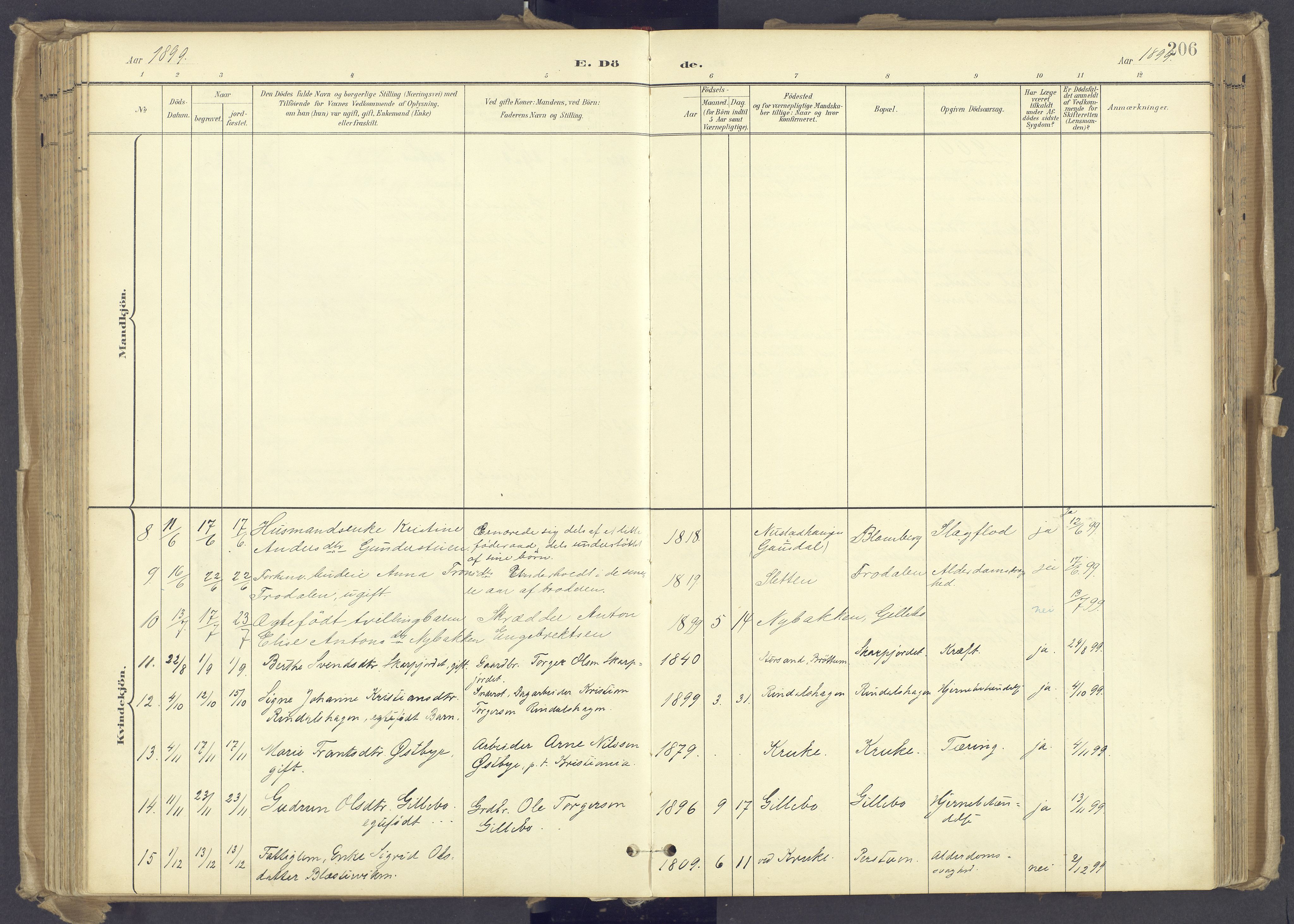 Øyer prestekontor, SAH/PREST-084/H/Ha/Haa/L0012: Parish register (official) no. 12, 1897-1920, p. 206