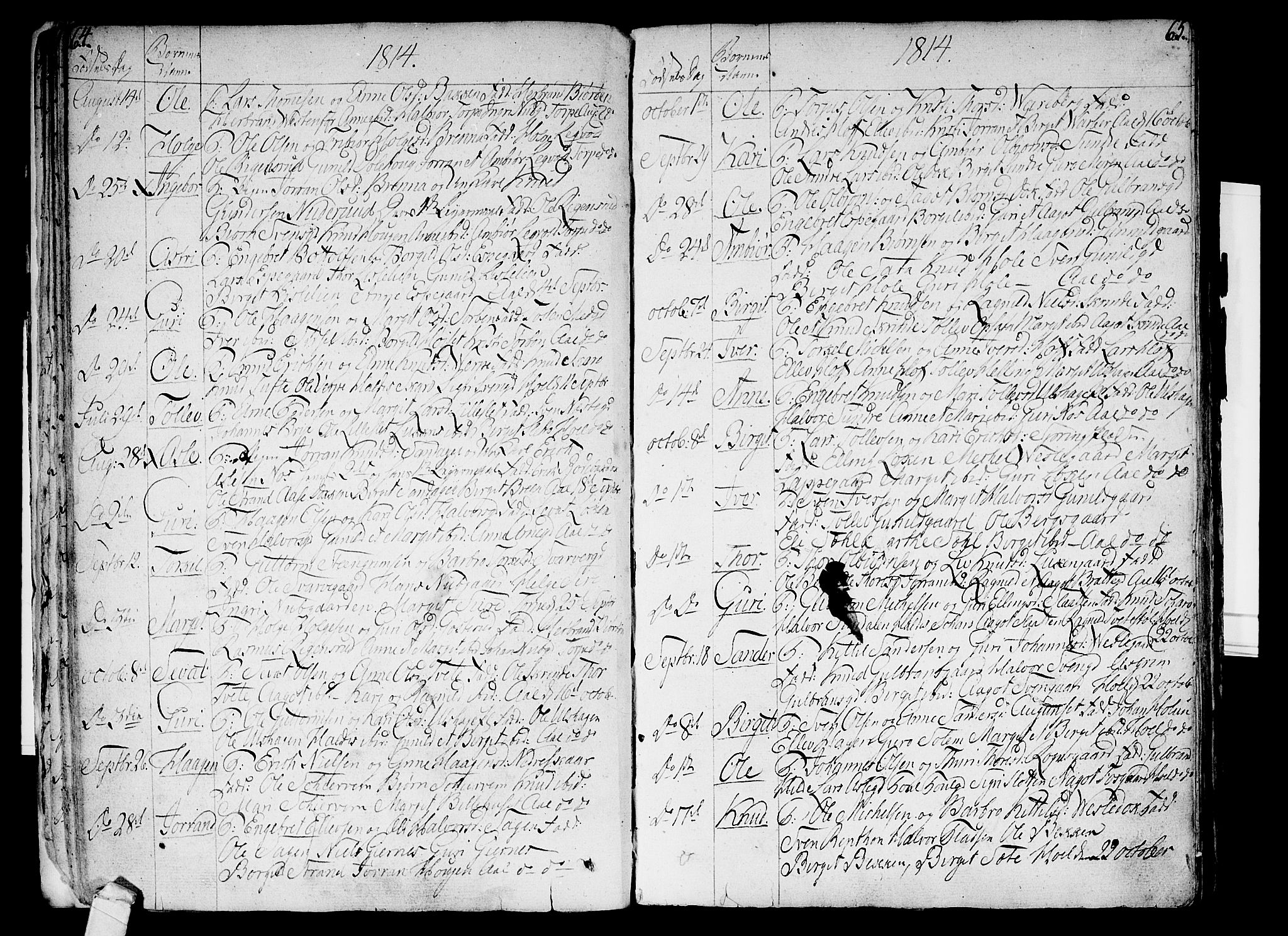 Ål kirkebøker, AV/SAKO-A-249/F/Fa/L0003: Parish register (official) no. I 3, 1807-1814, p. 64-65