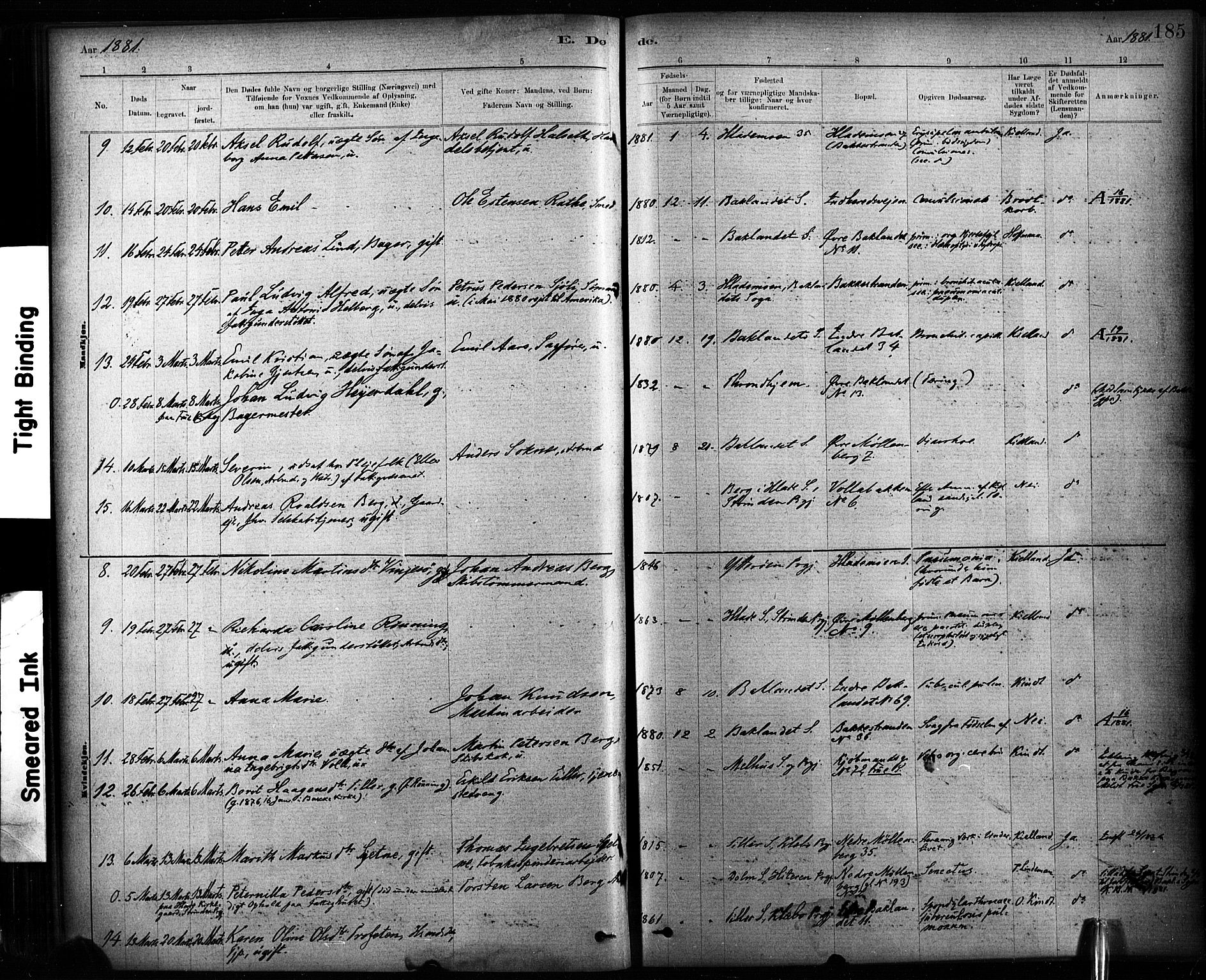 Ministerialprotokoller, klokkerbøker og fødselsregistre - Sør-Trøndelag, SAT/A-1456/604/L0189: Parish register (official) no. 604A10, 1878-1892, p. 185