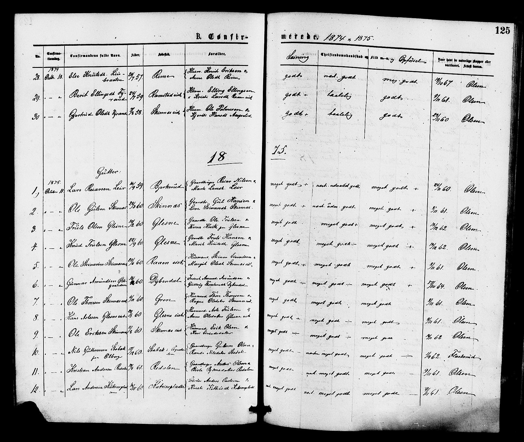 Krødsherad kirkebøker, SAKO/A-19/F/Fa/L0004: Parish register (official) no. 4, 1873-1878, p. 125