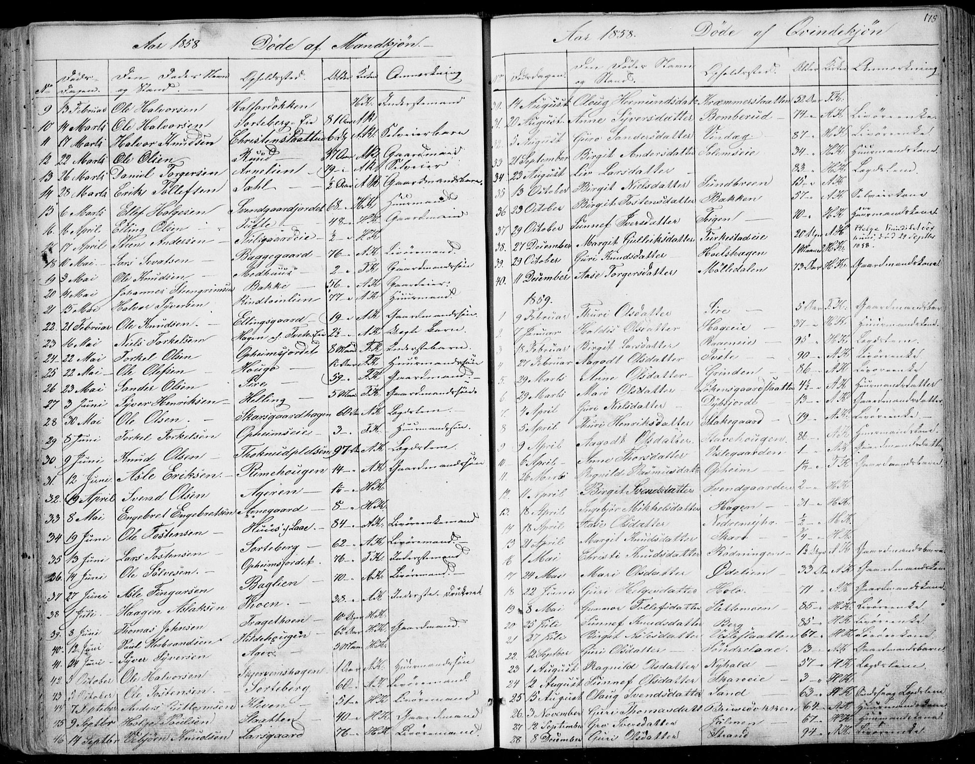 Ål kirkebøker, SAKO/A-249/F/Fa/L0006: Parish register (official) no. I 6, 1849-1864, p. 175