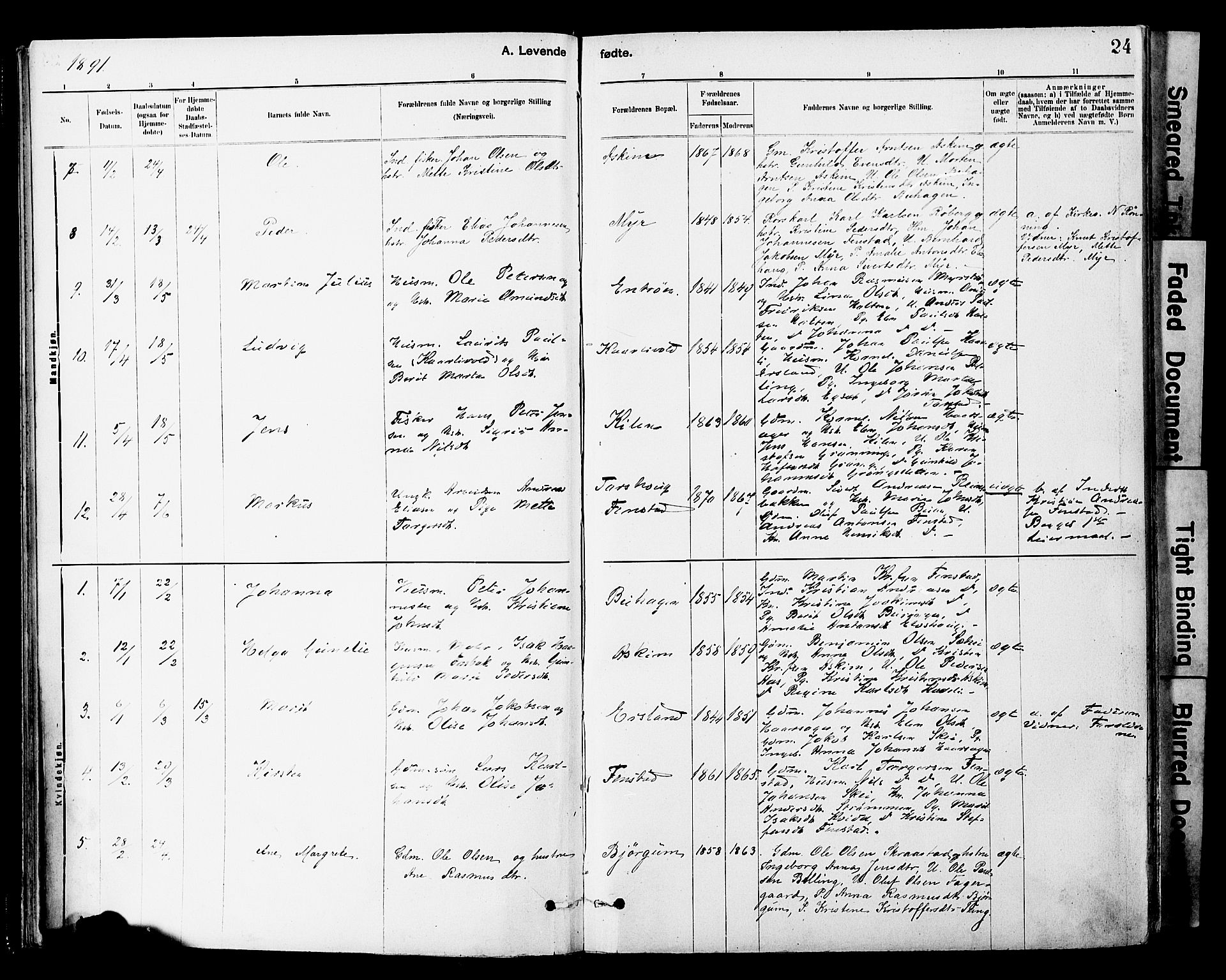 Ministerialprotokoller, klokkerbøker og fødselsregistre - Sør-Trøndelag, SAT/A-1456/646/L0615: Parish register (official) no. 646A13, 1885-1900, p. 24