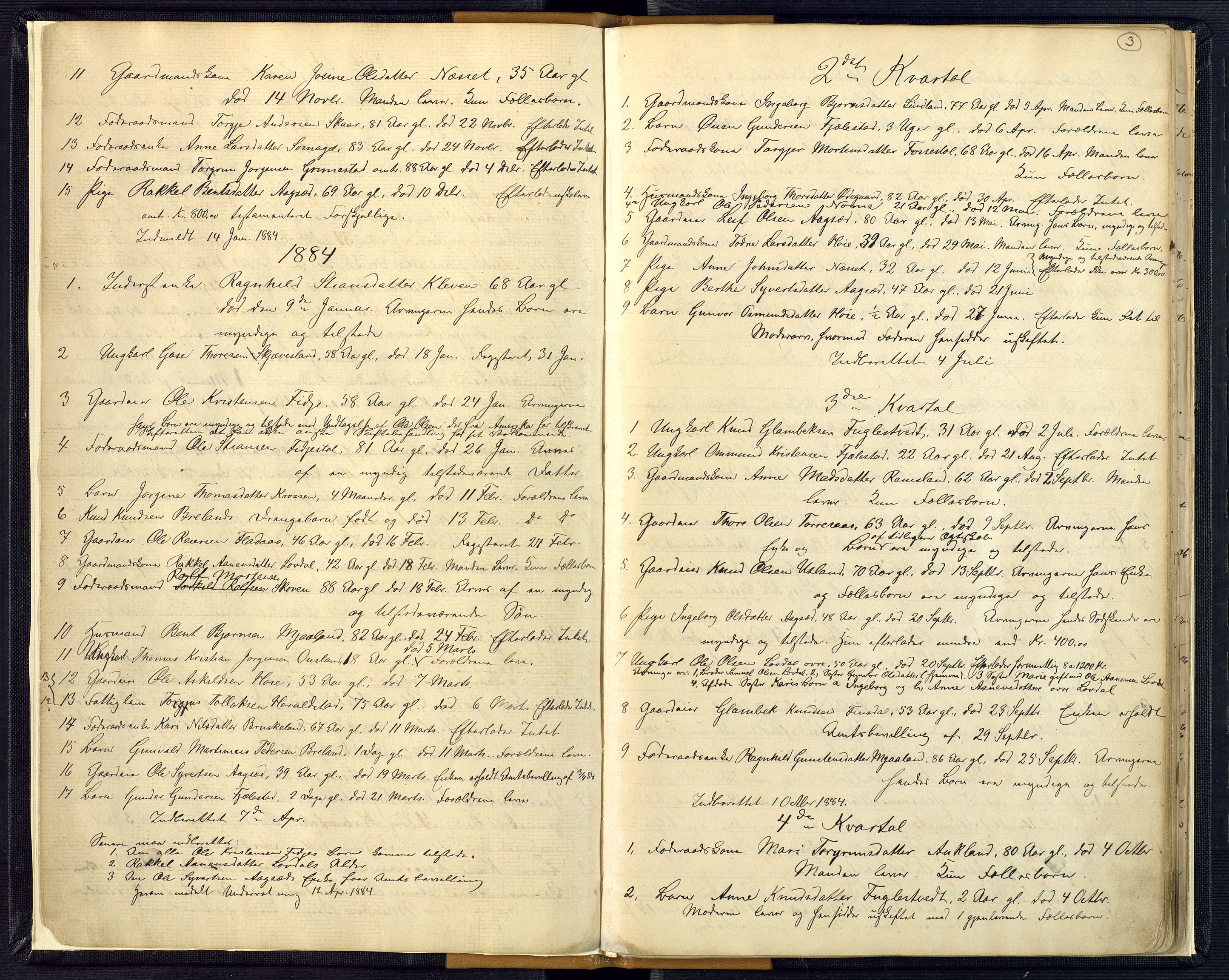 Mandal sorenskriveri, AV/SAK-1221-0005/001/H/Ha/L0016: Dødsfall Øyslebø og Laudal nr 15, 1882-1913, p. 3