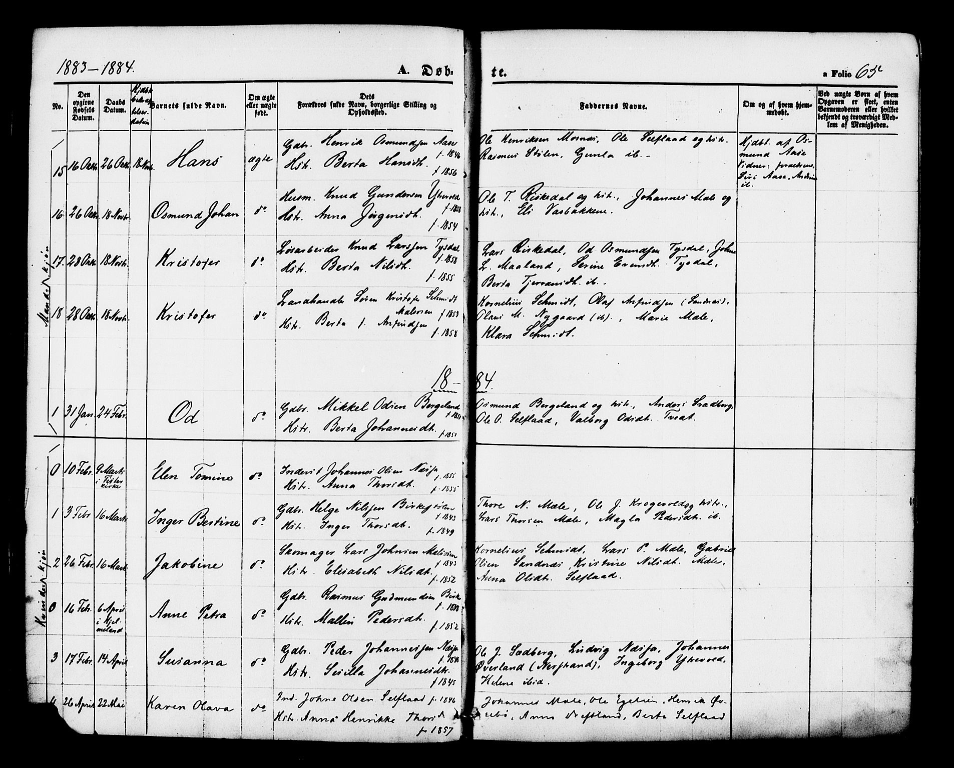 Hjelmeland sokneprestkontor, AV/SAST-A-101843/01/IV/L0012: Parish register (official) no. A 12, 1862-1886, p. 65