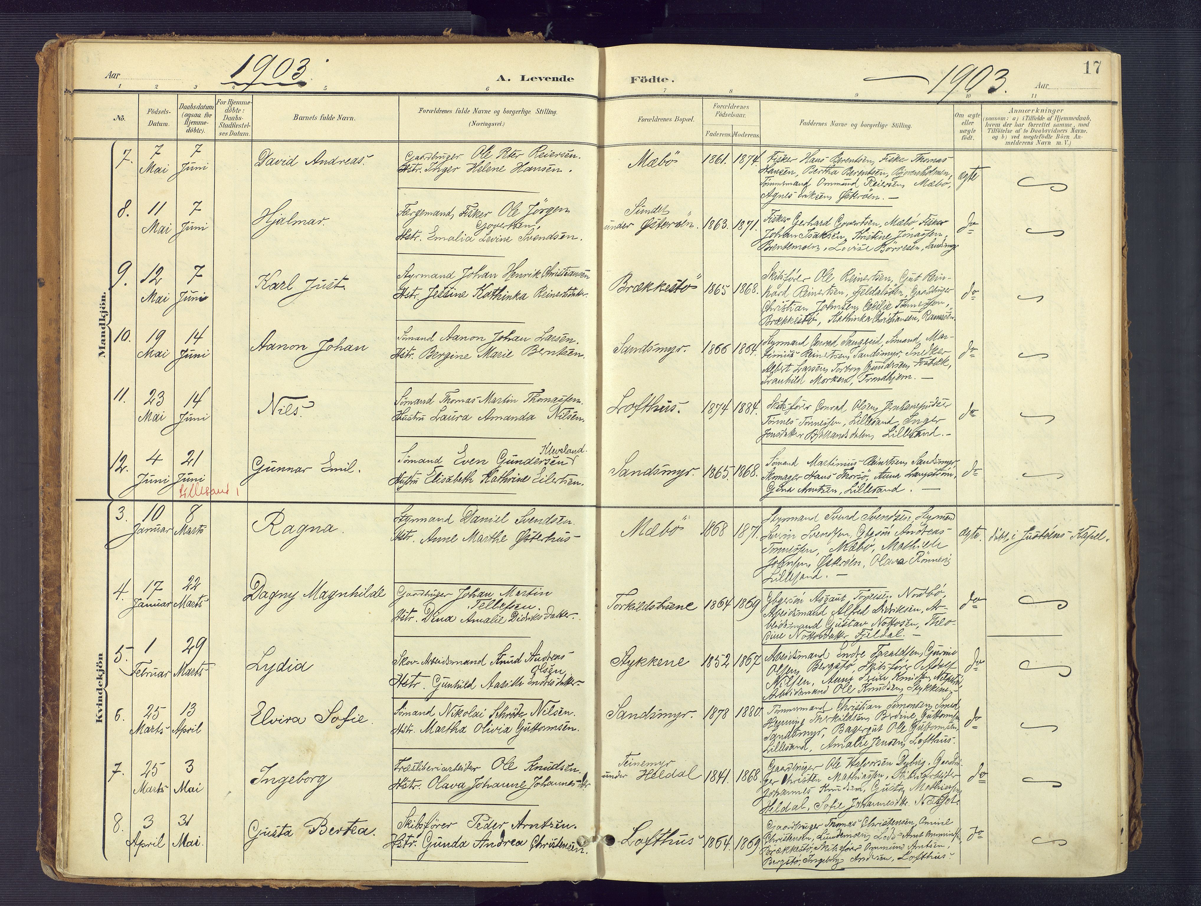 Vestre Moland sokneprestkontor, SAK/1111-0046/F/Fa/Fab/L0010: Parish register (official) no. A 10, 1900-1926, p. 17