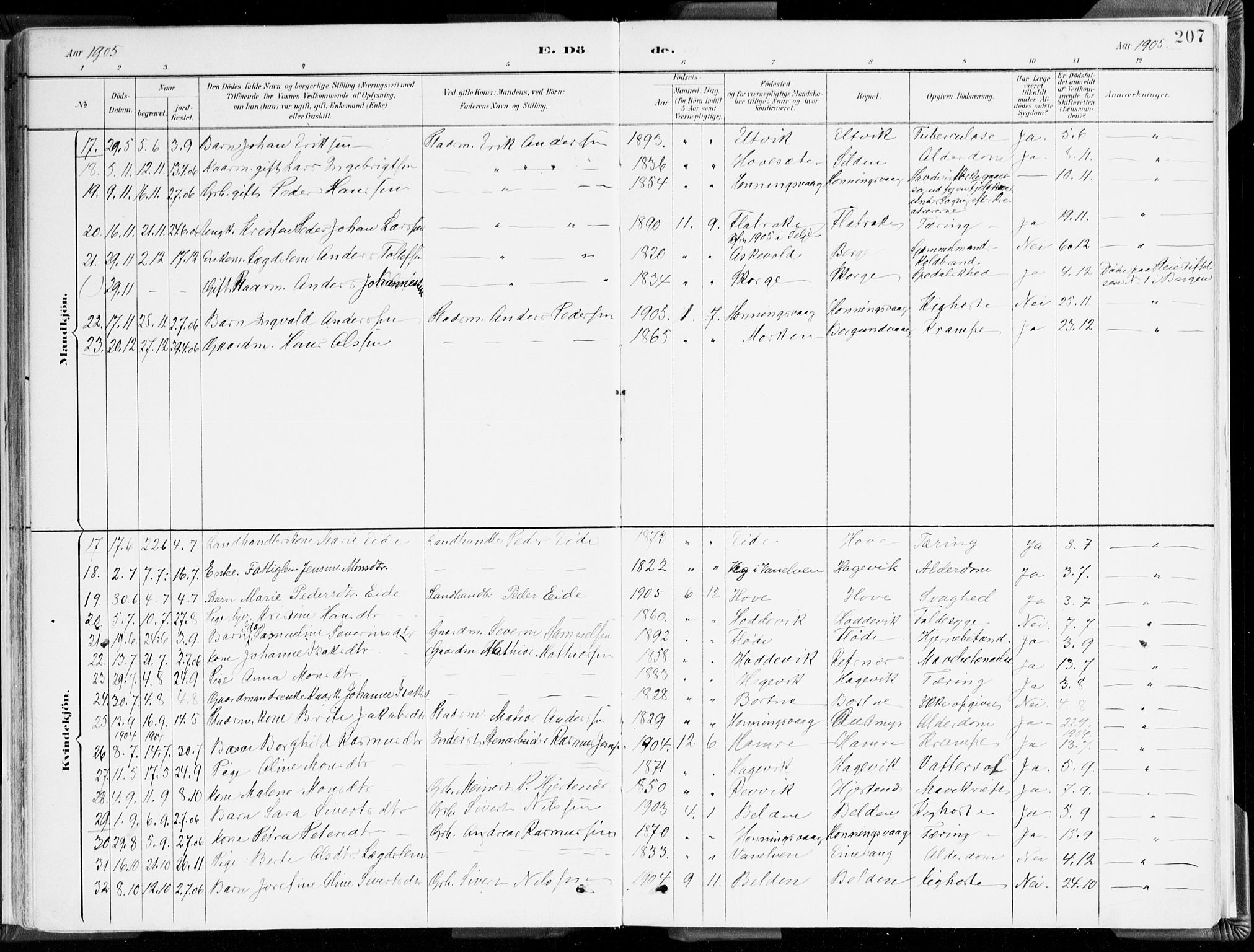 Selje sokneprestembete, AV/SAB-A-99938/H/Ha/Haa/Haab: Parish register (official) no. B 2, 1891-1907, p. 207