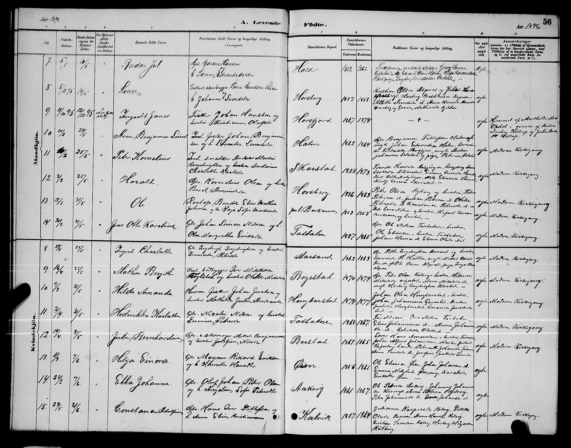 Ministerialprotokoller, klokkerbøker og fødselsregistre - Nordland, AV/SAT-A-1459/810/L0160: Parish register (copy) no. 810C03, 1884-1896, p. 56