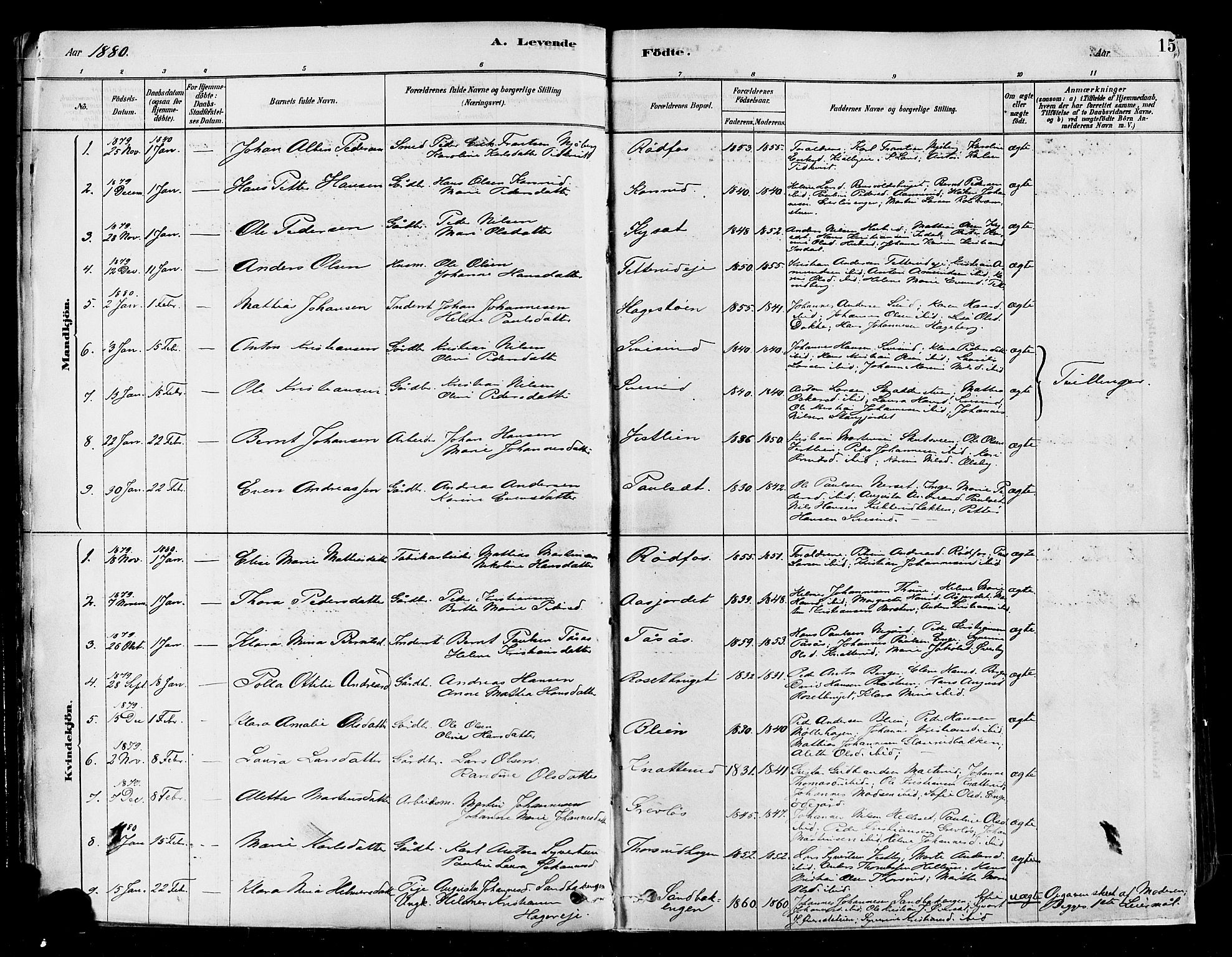 Vestre Toten prestekontor, SAH/PREST-108/H/Ha/Haa/L0009: Parish register (official) no. 9, 1878-1894, p. 15