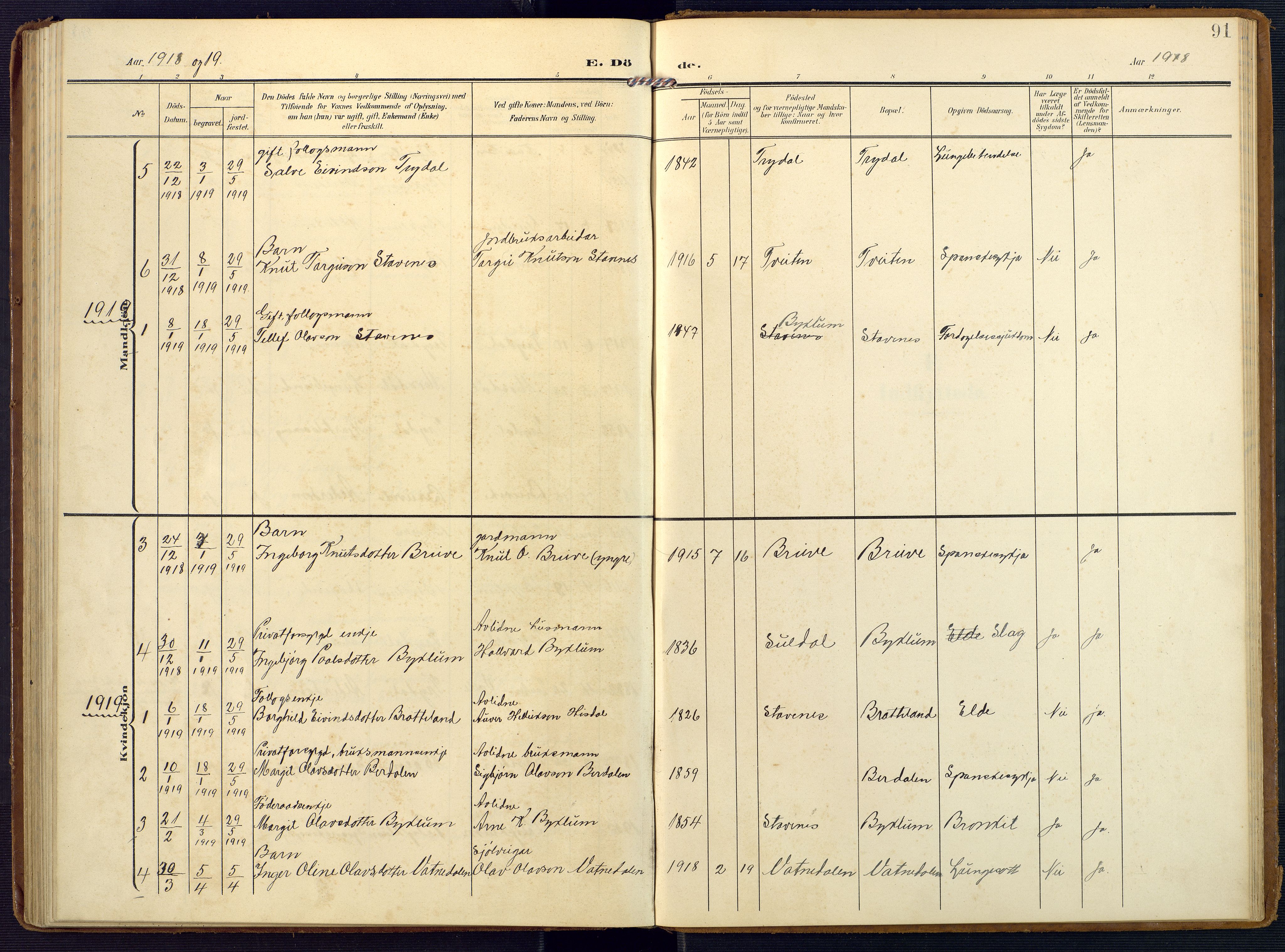 Valle sokneprestkontor, SAK/1111-0044/F/Fa/Faa/L0002: Parish register (official) no. A 2, 1907-1919, p. 91