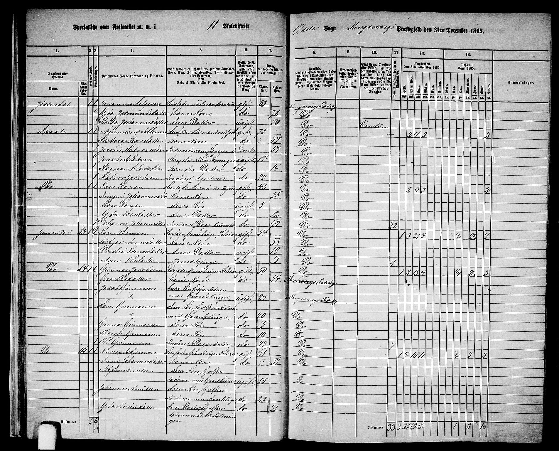 RA, 1865 census for Kinsarvik, 1865, p. 27