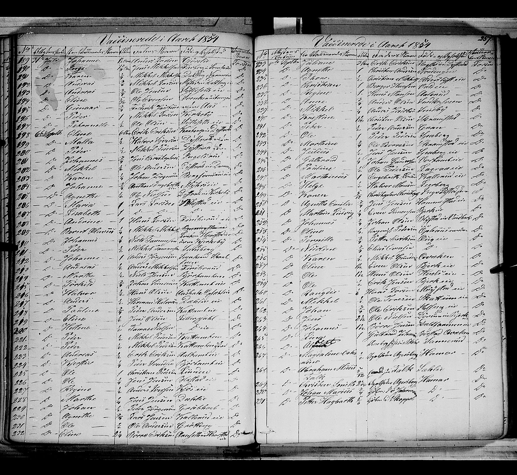 Vang prestekontor, Hedmark, AV/SAH-PREST-008/H/Ha/Haa/L0010: Parish register (official) no. 10, 1841-1855, p. 257