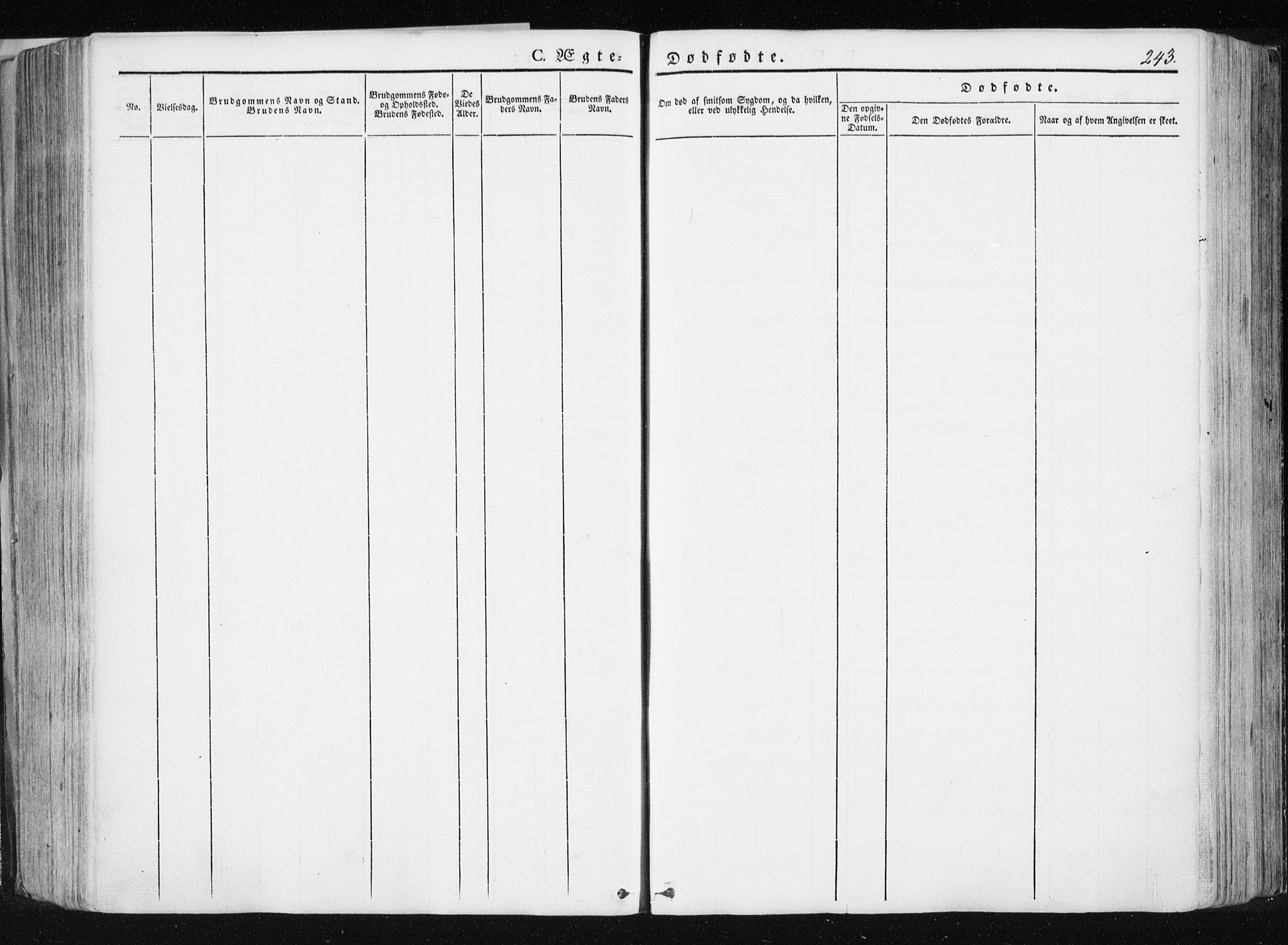 Ministerialprotokoller, klokkerbøker og fødselsregistre - Nord-Trøndelag, AV/SAT-A-1458/741/L0393: Parish register (official) no. 741A07, 1849-1863, p. 243