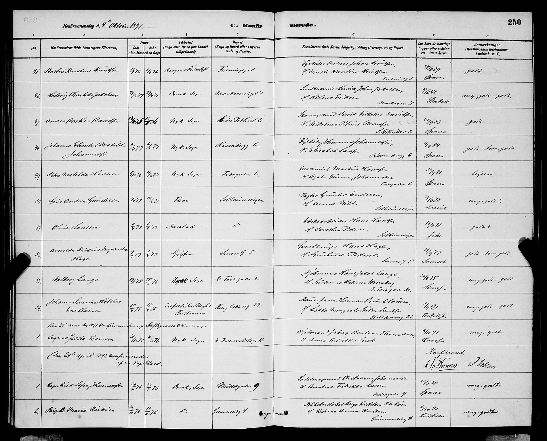 Domkirken sokneprestembete, SAB/A-74801/H/Hab/L0024: Parish register (copy) no. C 4, 1880-1899, p. 250