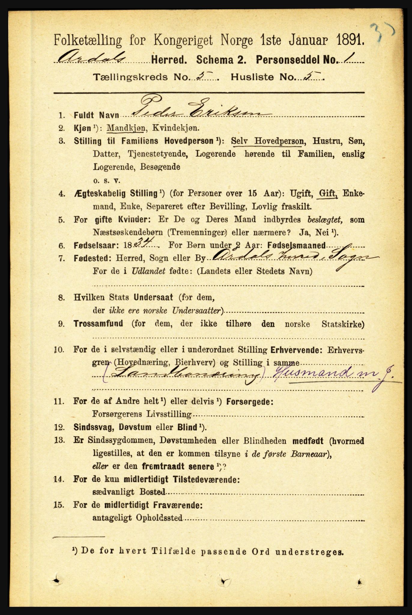 RA, 1891 census for 1424 Årdal, 1891, p. 1015