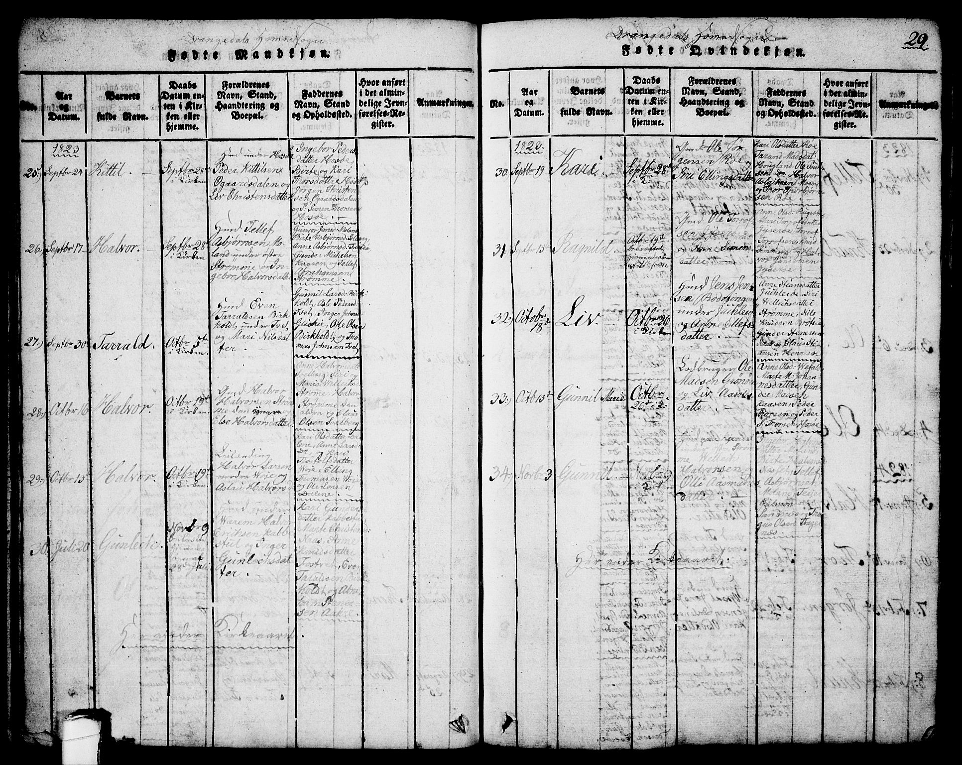 Drangedal kirkebøker, SAKO/A-258/G/Ga/L0001: Parish register (copy) no. I 1 /1, 1814-1856, p. 29