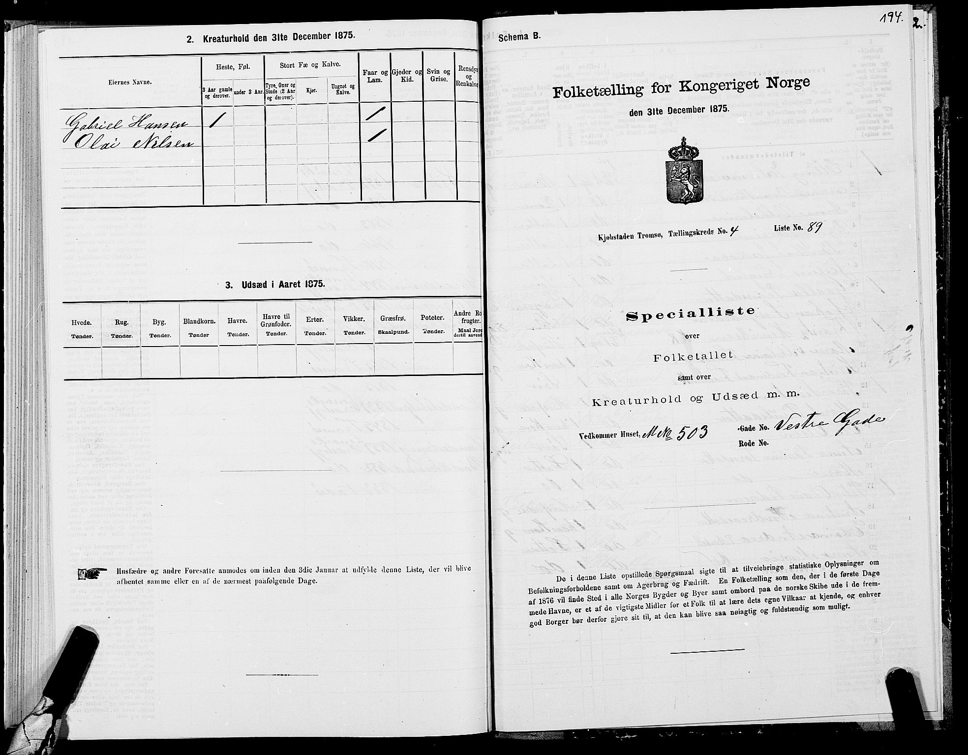 SATØ, 1875 census for 1902P Tromsø, 1875, p. 3194