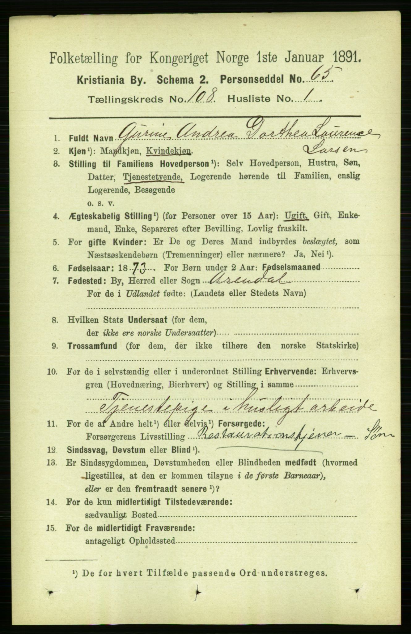 RA, 1891 census for 0301 Kristiania, 1891, p. 55498