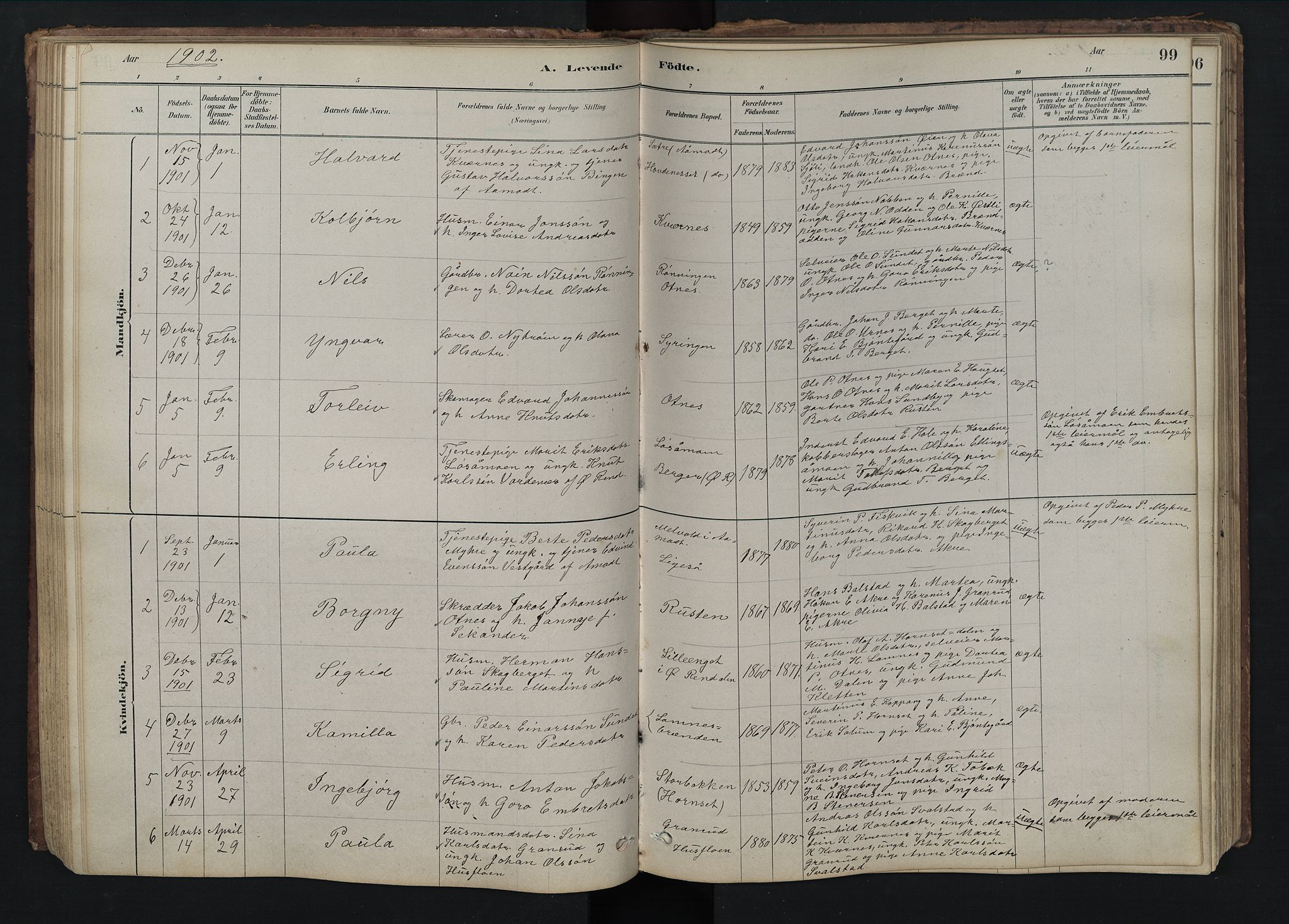 Rendalen prestekontor, SAH/PREST-054/H/Ha/Hab/L0009: Parish register (copy) no. 9, 1879-1902, p. 99