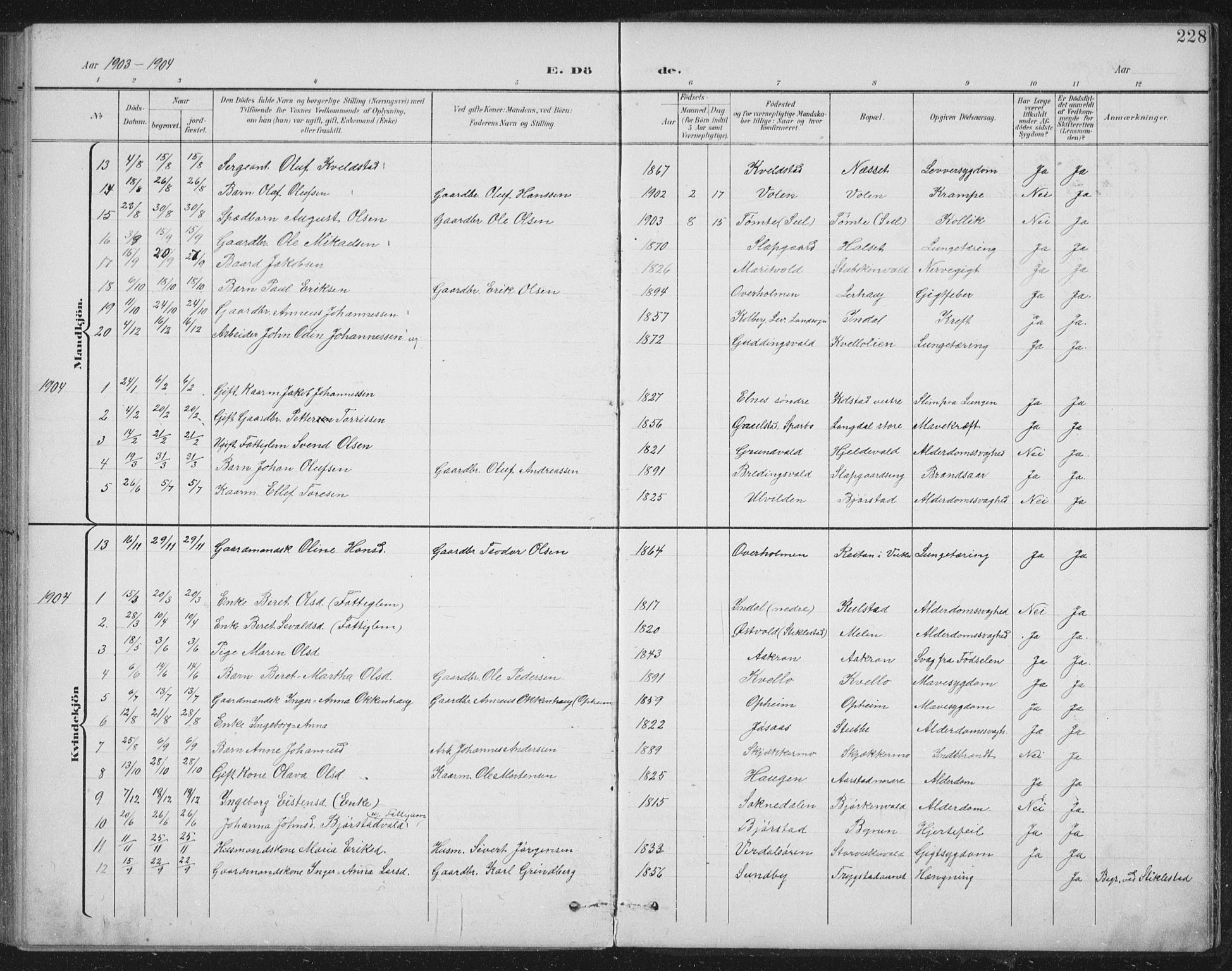 Ministerialprotokoller, klokkerbøker og fødselsregistre - Nord-Trøndelag, SAT/A-1458/724/L0269: Parish register (copy) no. 724C05, 1899-1920, p. 228
