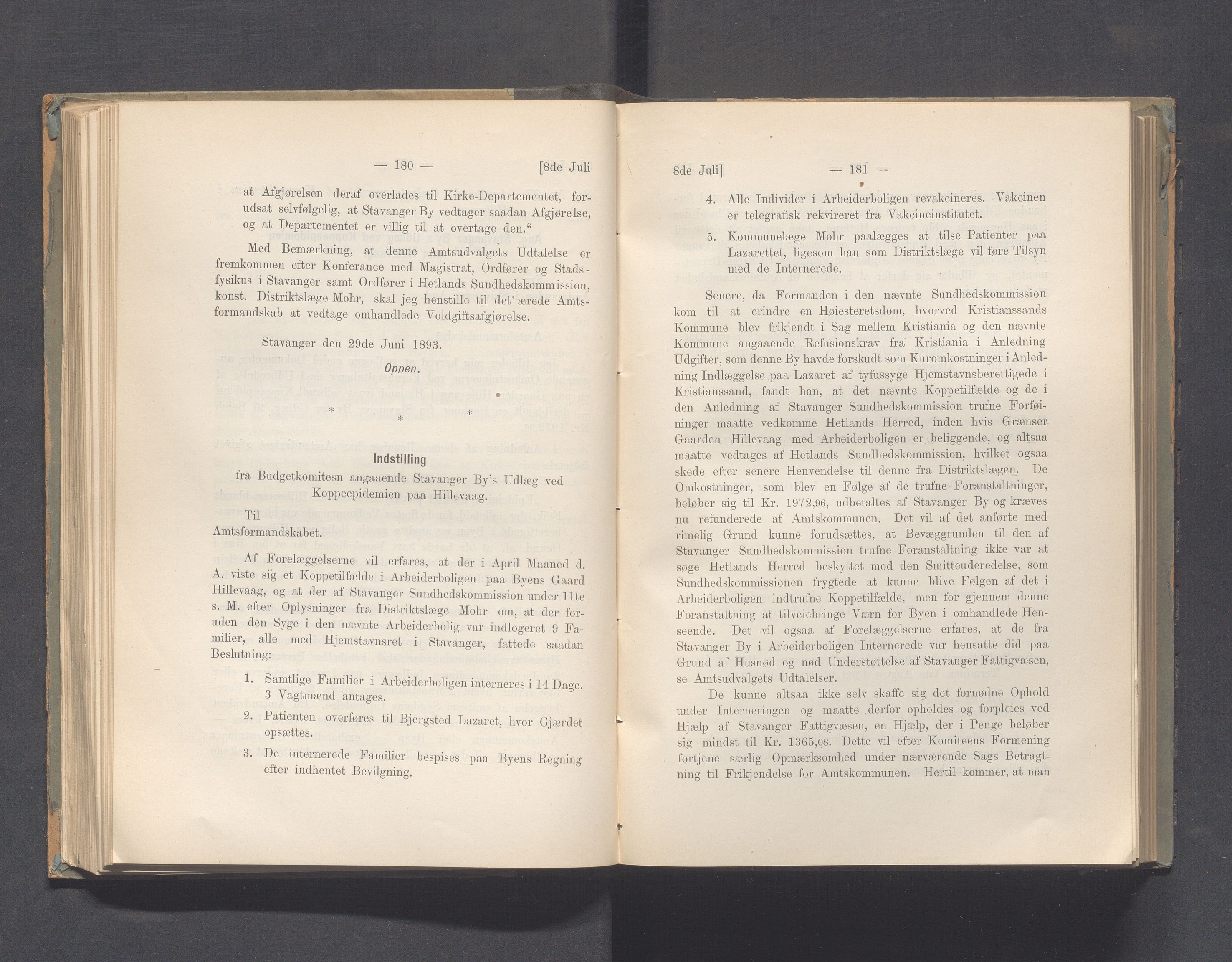 Rogaland fylkeskommune - Fylkesrådmannen , IKAR/A-900/A, 1893, p. 96