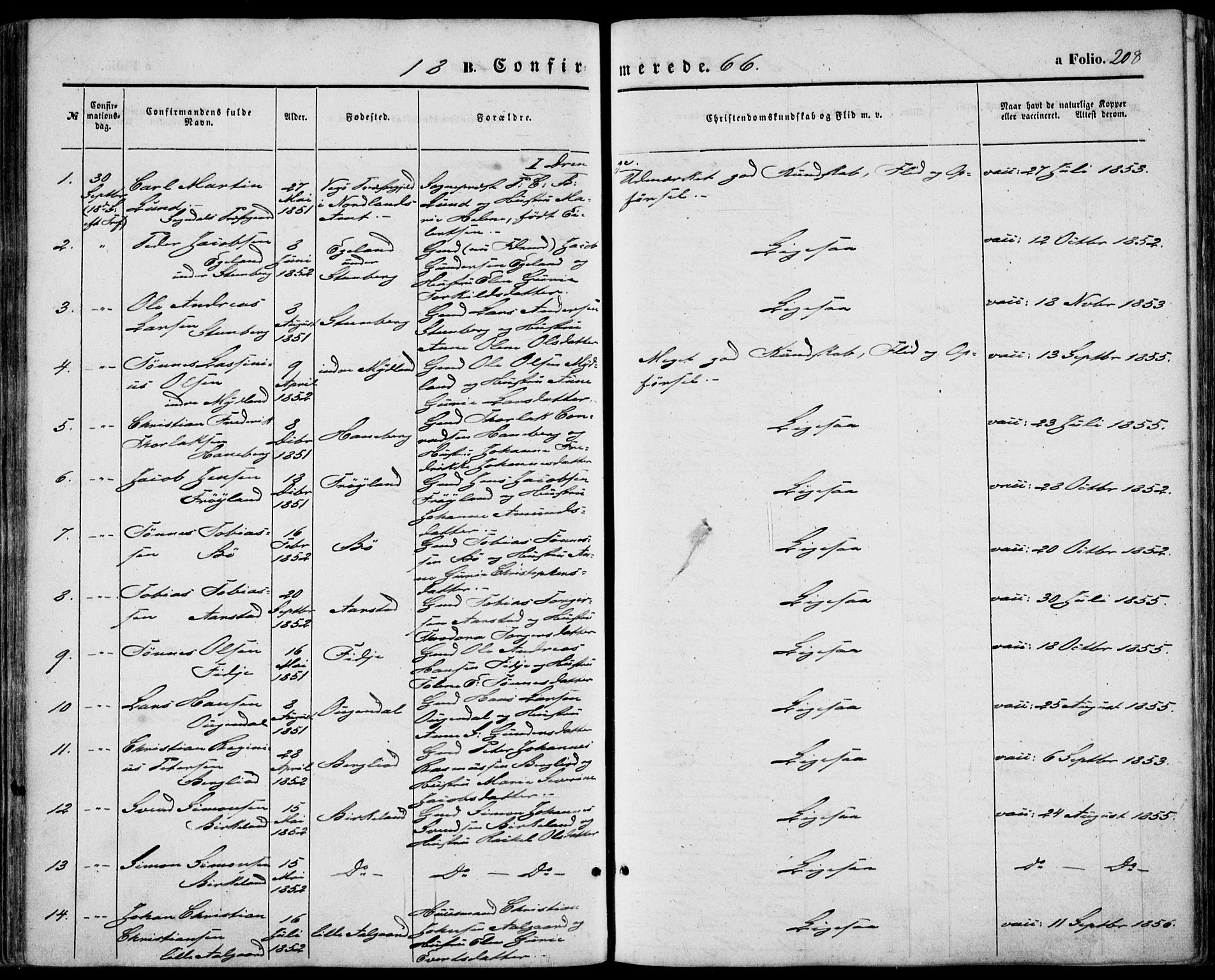 Sokndal sokneprestkontor, AV/SAST-A-101808: Parish register (official) no. A 9, 1857-1874, p. 208