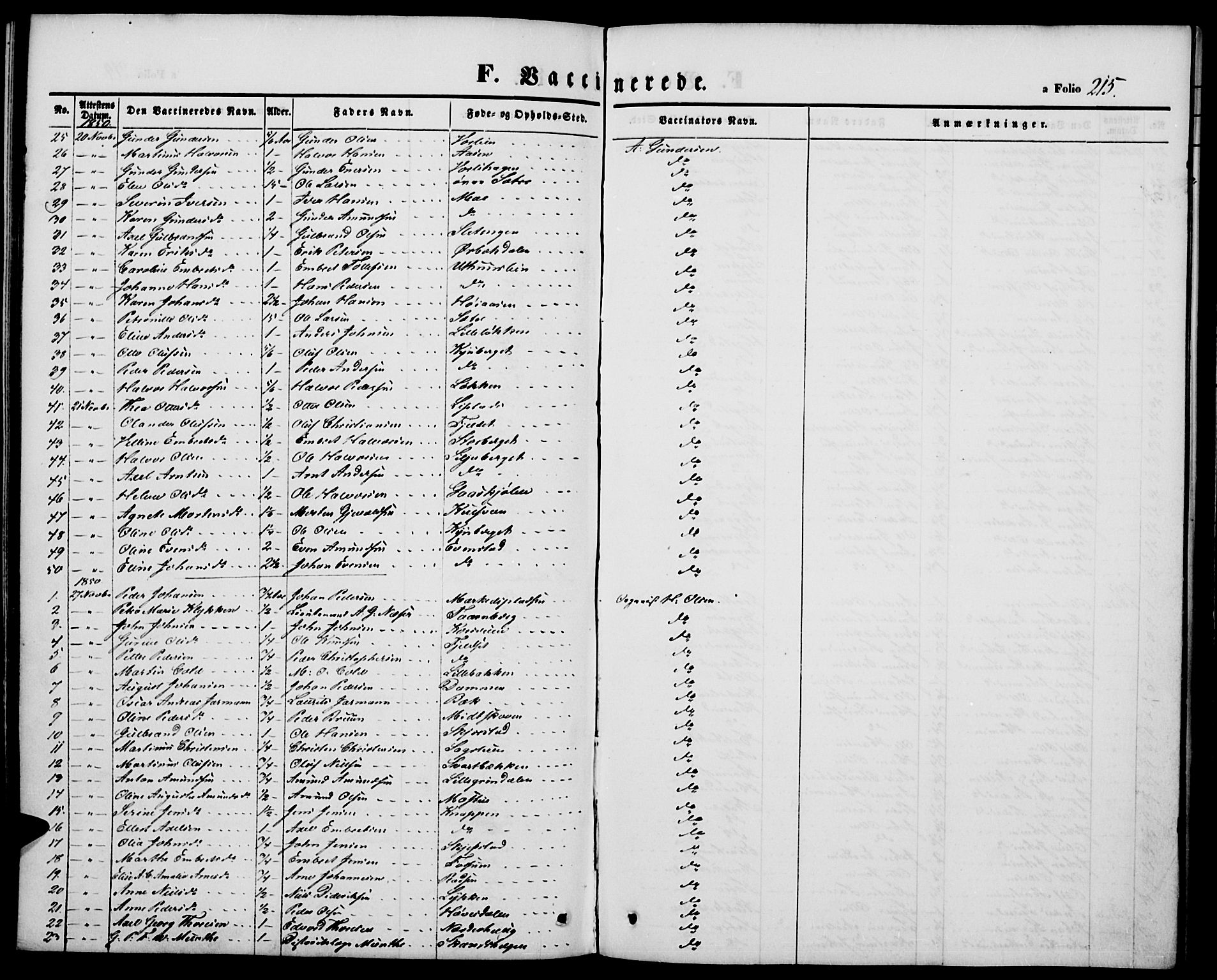 Elverum prestekontor, SAH/PREST-044/H/Ha/Hab/L0002: Parish register (copy) no. 2, 1845-1855, p. 215