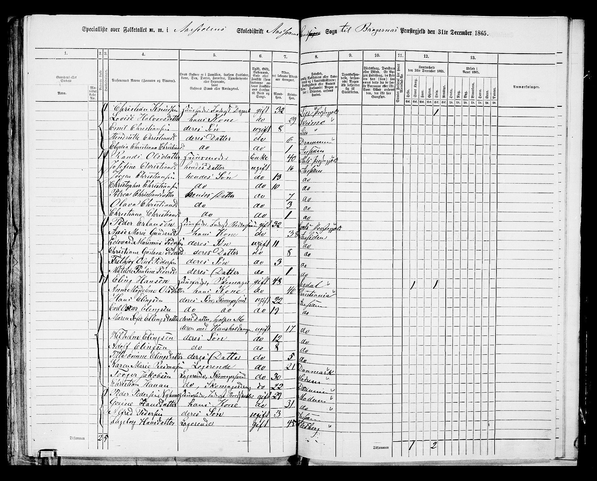 RA, 1865 census for Bragernes/Åssiden, 1865, p. 28