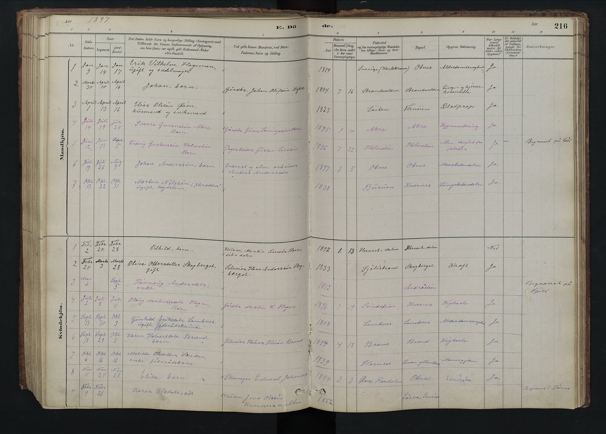 Rendalen prestekontor, SAH/PREST-054/H/Ha/Hab/L0009: Parish register (copy) no. 9, 1879-1902, p. 216