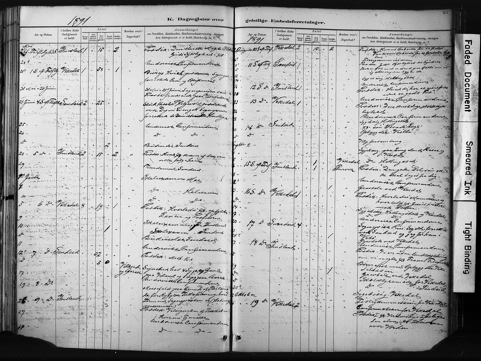 Vikedal sokneprestkontor, AV/SAST-A-101840/01/IV: Parish register (official) no. A 10, 1884-1907, p. 215