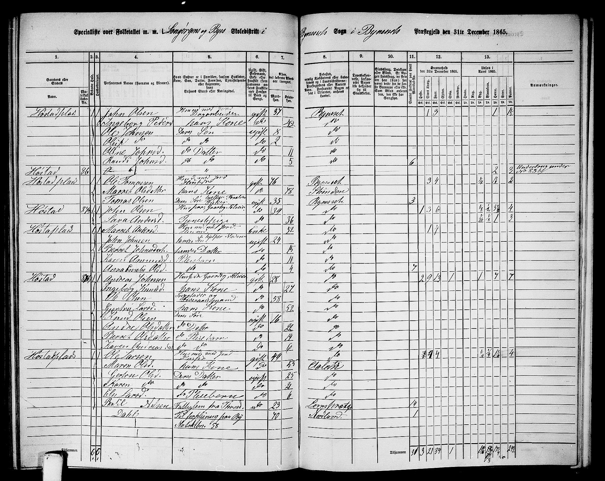 RA, 1865 census for Byneset, 1865, p. 102